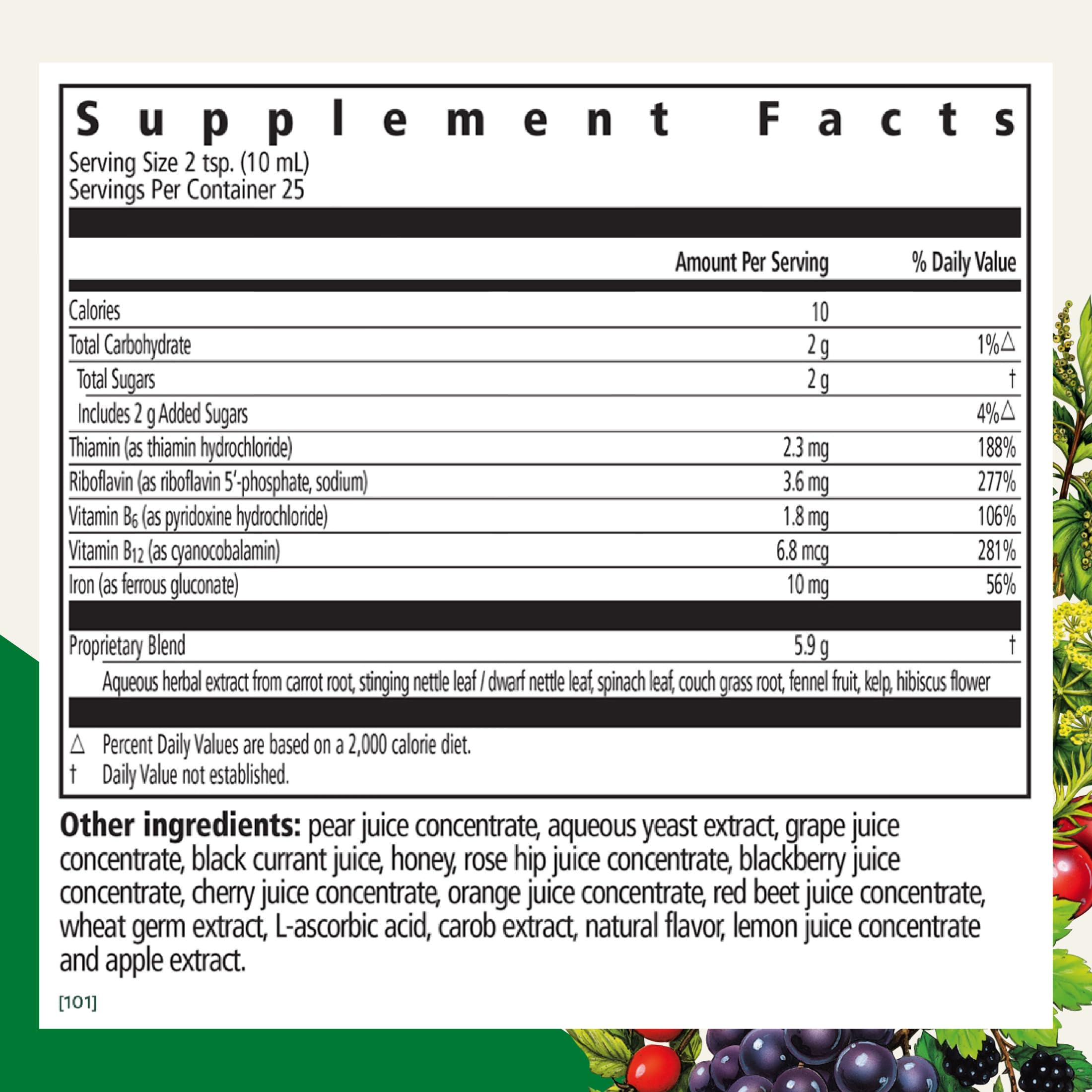 Floradix Iron & Herbs - Liquid Herbal Supplement for Energy Support - Iron Supplement with Vitamin C & Vitamin B Complex - for Men & Women - 8.5 fl oz Floradix buy supplements canada