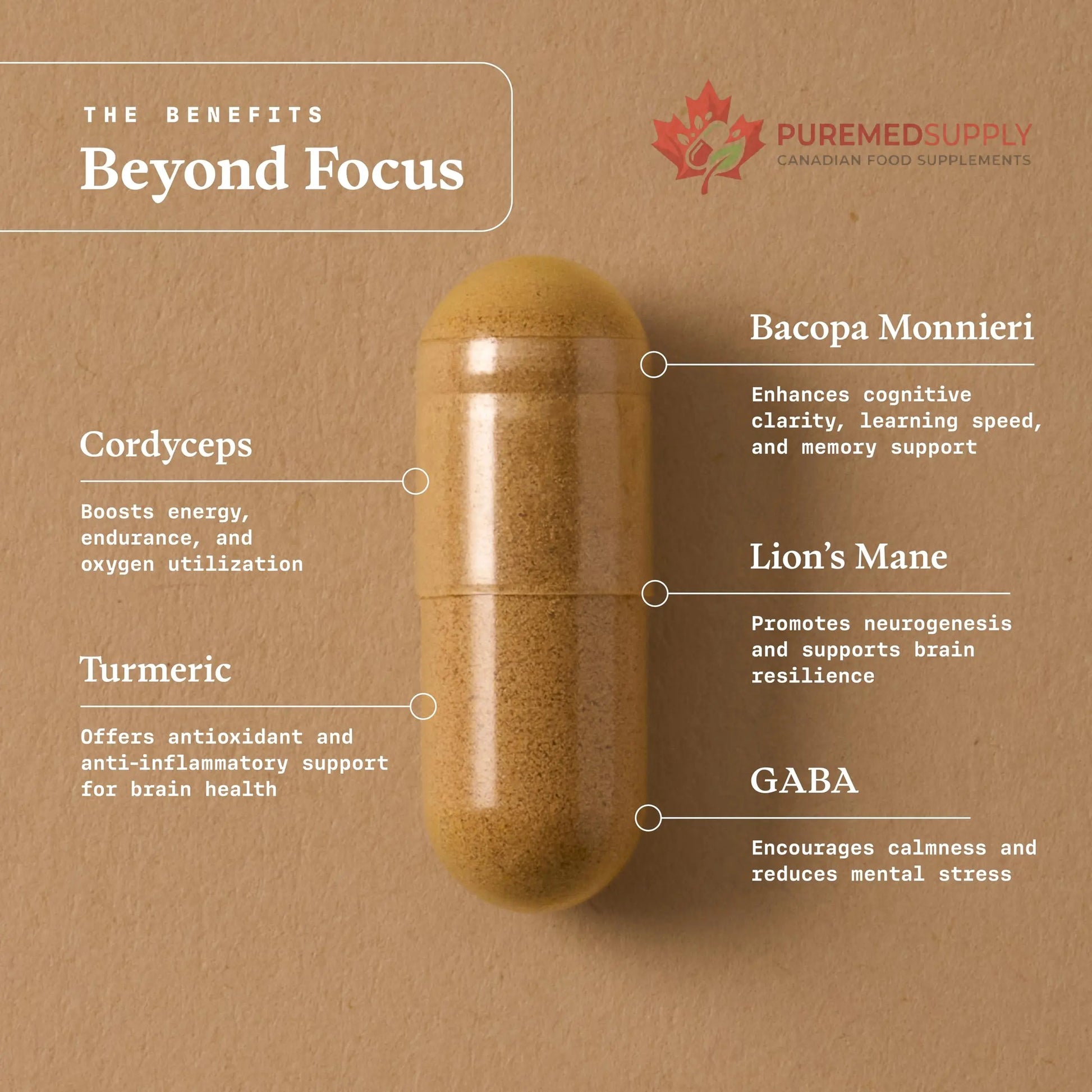 Ultra Life Sport - Beyond Focus Organic Mushroom Supplement - 30 Capsule Brain Supplements for Memory and Focus - 100% Vegan, Non-GMO - Memory Booster with Bacopa, Cordyceps, & Lion’s Mane Ultra Life Sport buy supplements canada