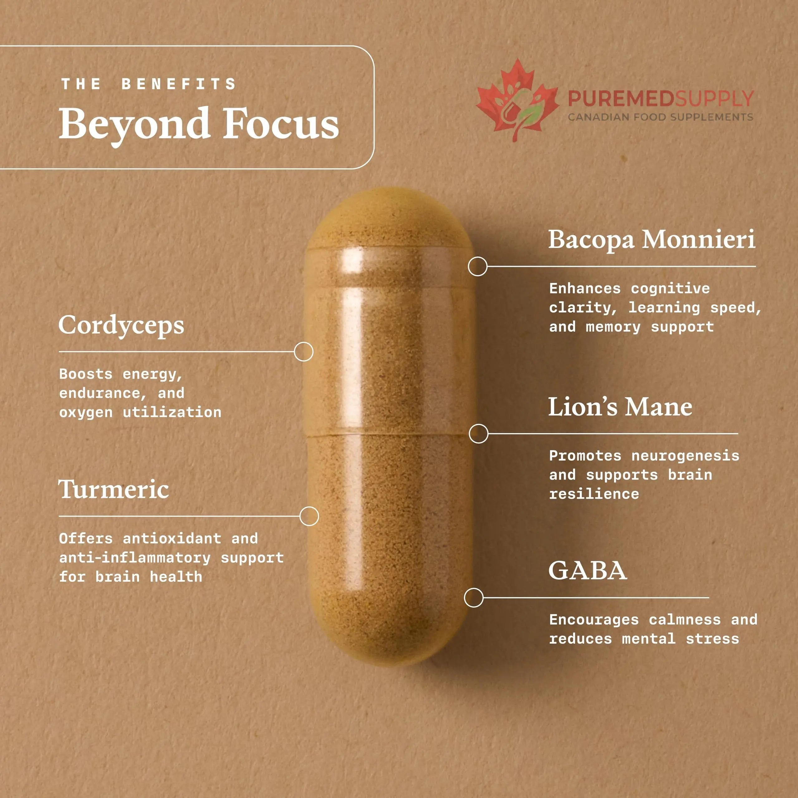 Ultra Life Sport - Beyond Focus Organic Mushroom Supplement - 30 Capsule Brain Supplements for Memory and Focus - 100% Vegan, Non-GMO - Memory Booster with Bacopa, Cordyceps, & Lion’s Mane Ultra Life Sport buy supplements canada