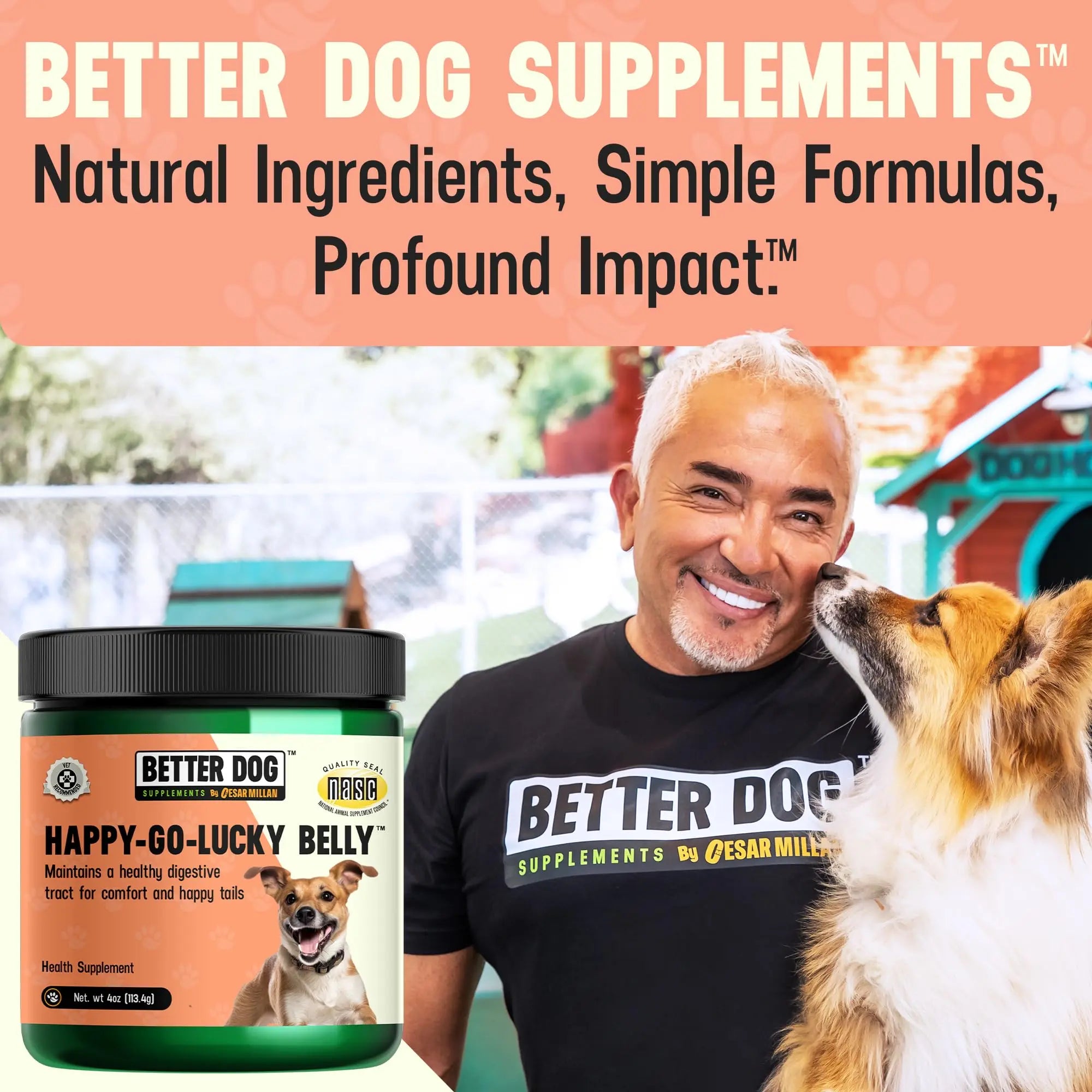 Better Dog Supplements Happy-Go-Lucky Belly by Cesar Millan - Natural Dog Digestive Support Powder – Dog Constipation Relief, Gut Balance & Regularity with Herbal Fiber for Dogs – 4oz (60-Day Supply) Better Dog Supplements By Cesar Millan buy supplements canada