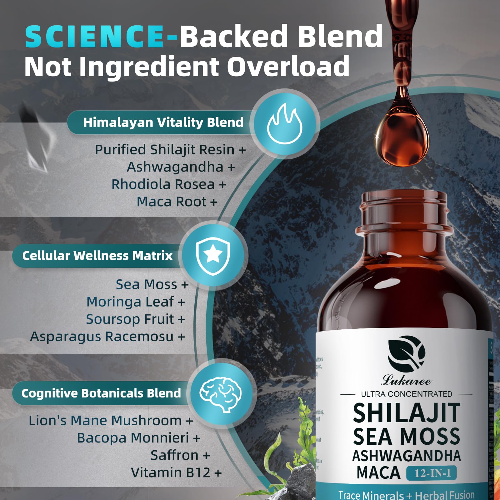 Shilajit Liquid Drops, 12-in-1 Complex - Sea Moss, Ashwagandha, Maca, Fulvic Acid, Trace Minerals, Liquid Vitamins Supplement for Men and Women, Energy, Antioxidant, Immune Support, 60ML/2 FL Oz Lukaree buy supplements canada