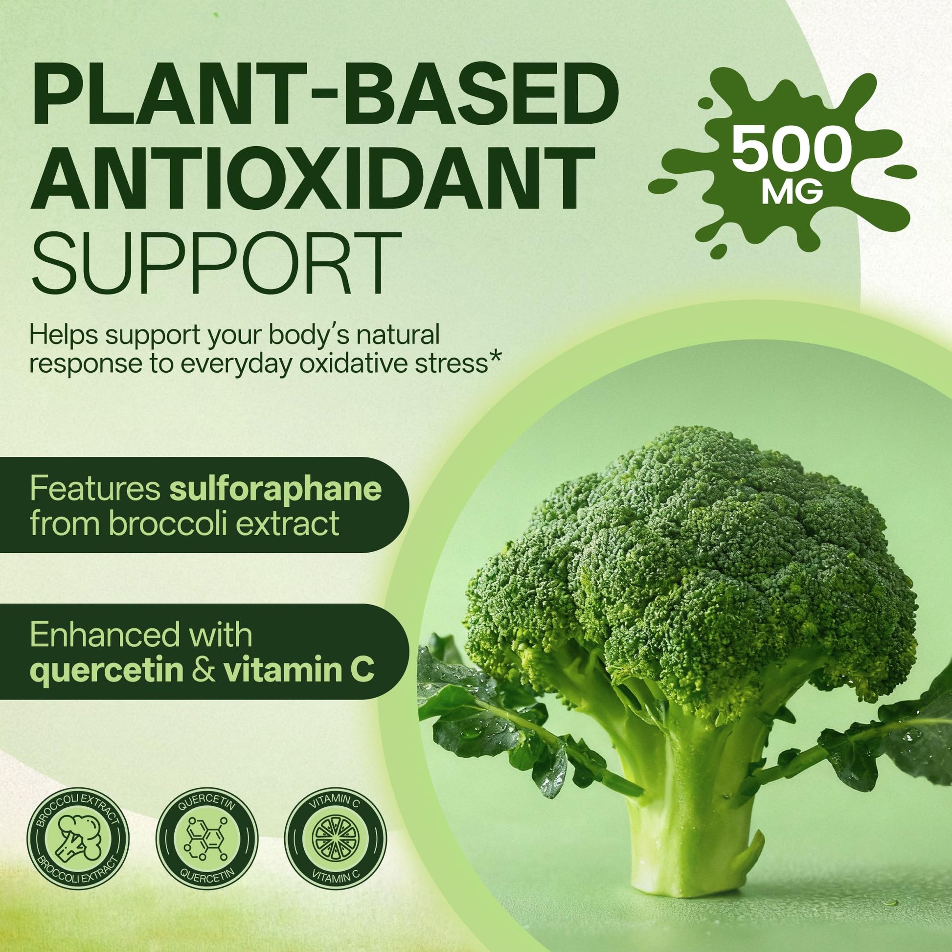 Liposomal Sulforaphane 500mg Supplement from Broccoli Extract with Quercetin, Black Pepper & Vitamin C – Antioxidant, Detox & Cellular Support, Cellular Health Formula for Men & Women, 60 Capsules inGreens buy supplements canada
