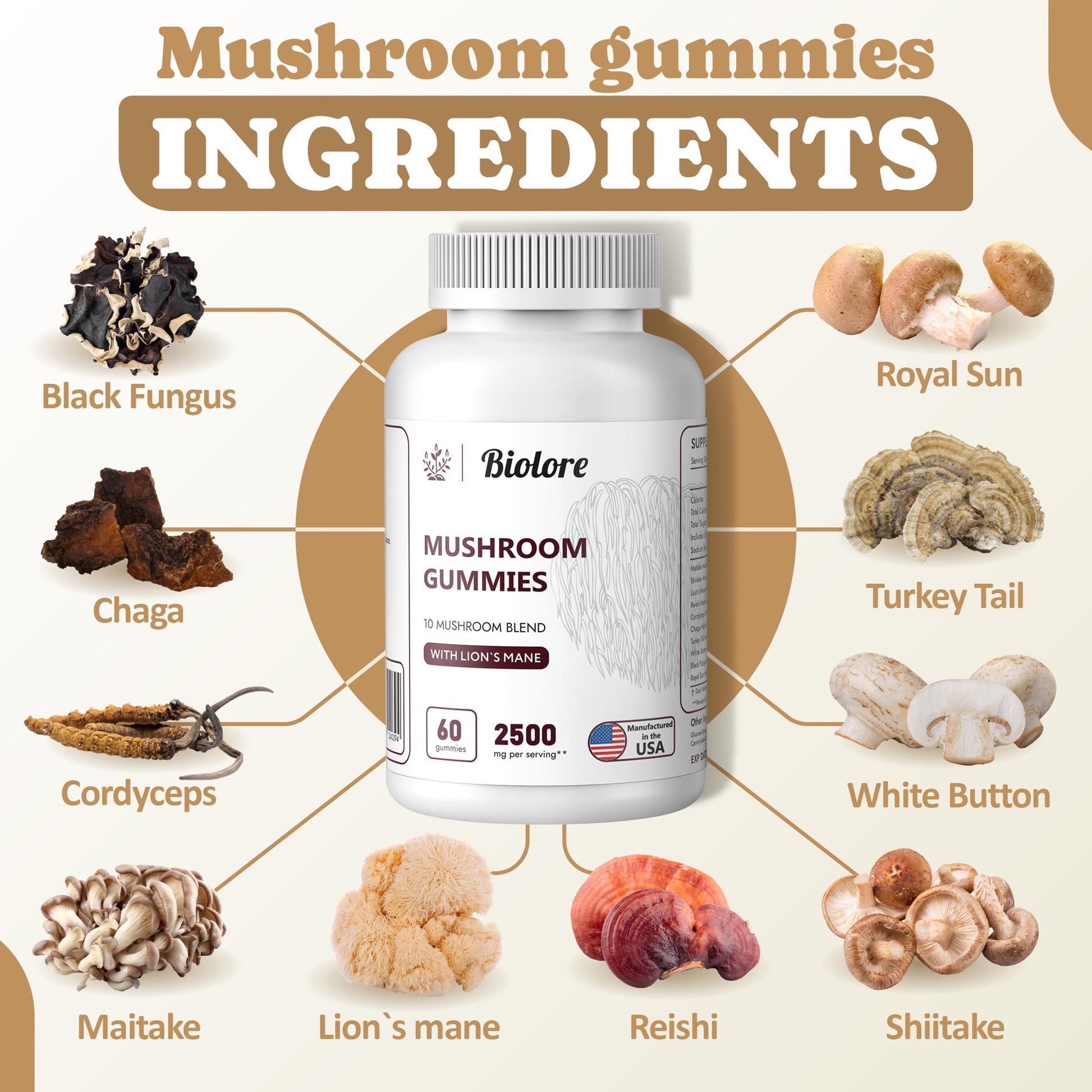 Biolore Mushroom Complex Gummies: 10 Powerful Mushrooms with Chaga, Lions Mane Biolore buy supplements canada