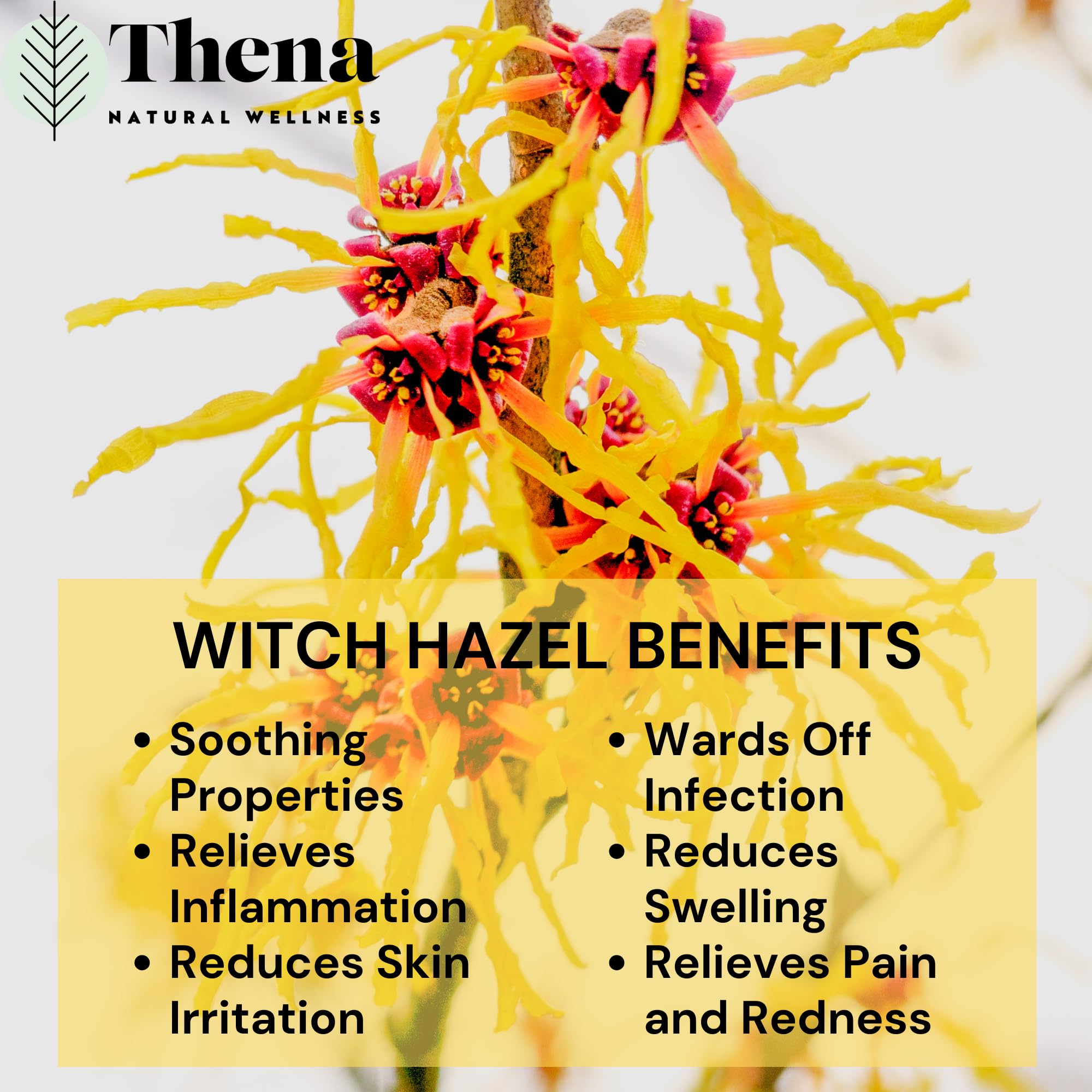 Intense Hemorrhoid Treatment Natural Hemorrhoid Relief Cream, Max Strength Herbal Anal Fissure Relief Ointment with Organic Witch Hazel for Postpartum Piles, Best with Thena Sitz Bath Soak Women Men THENA Natural Wellness buy supplements canada