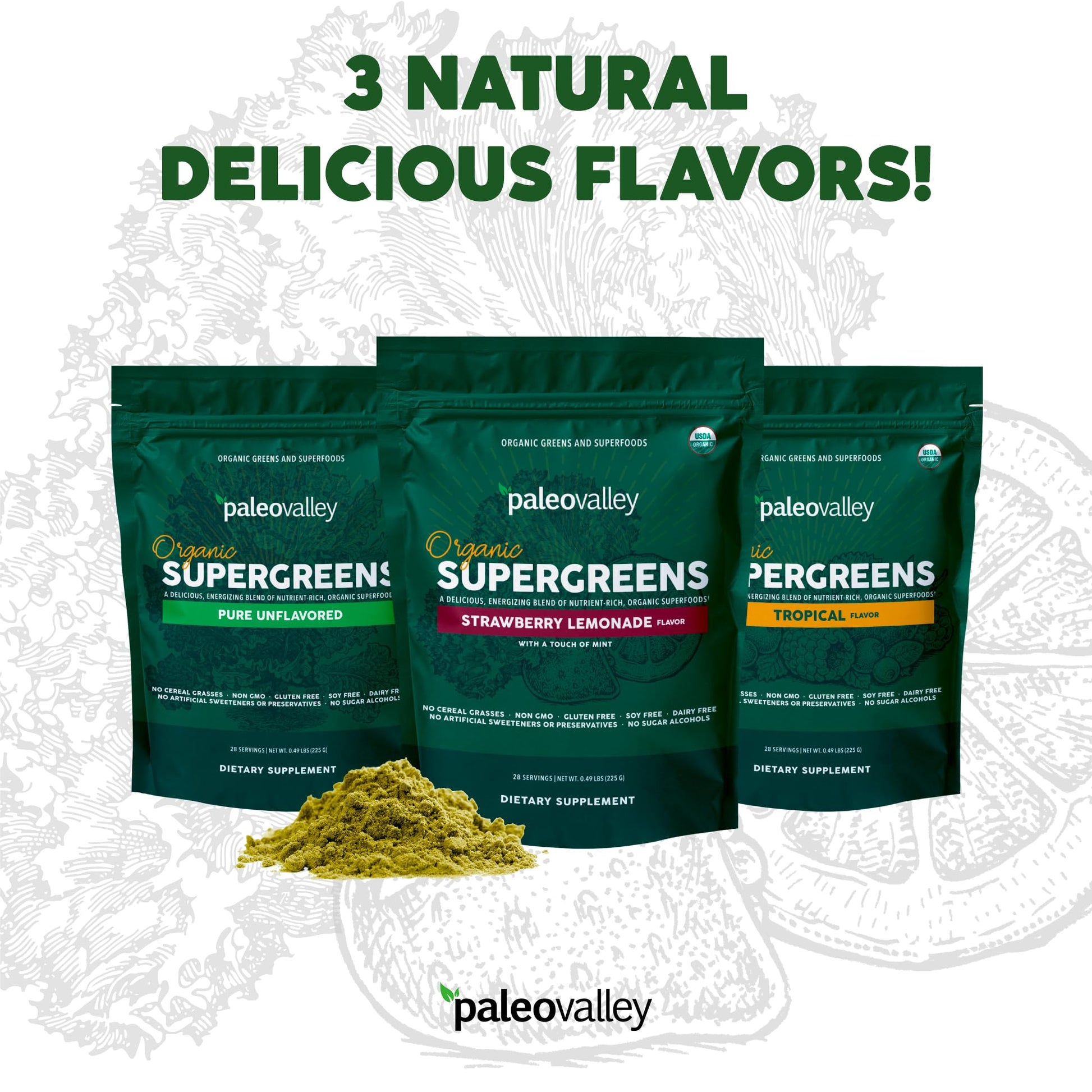 Paleovalley Organic Supergreens - Organic Greens Powder Superfood for Immune Support - Paleo Green Powder Blend - 28 Servings - 23 Superfoods - Gluten Free, No Cereal Grasses, Soy or Grain Paleovalley buy supplements canada