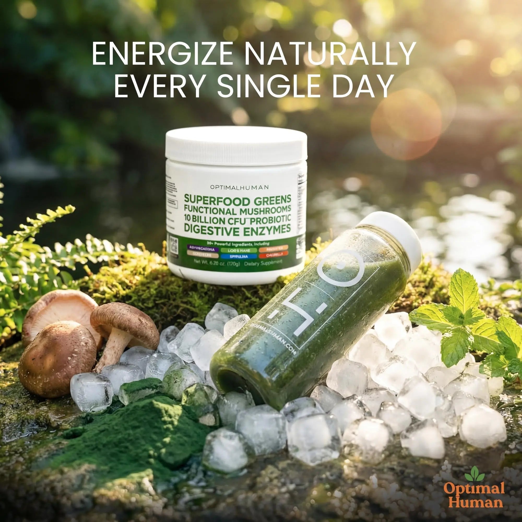 Optimal Human Superfood Greens Powder – 90+ Ingredient Blend with Lion’s Mane Supplement, Ashwagandha & Turmeric O H buy supplements canada