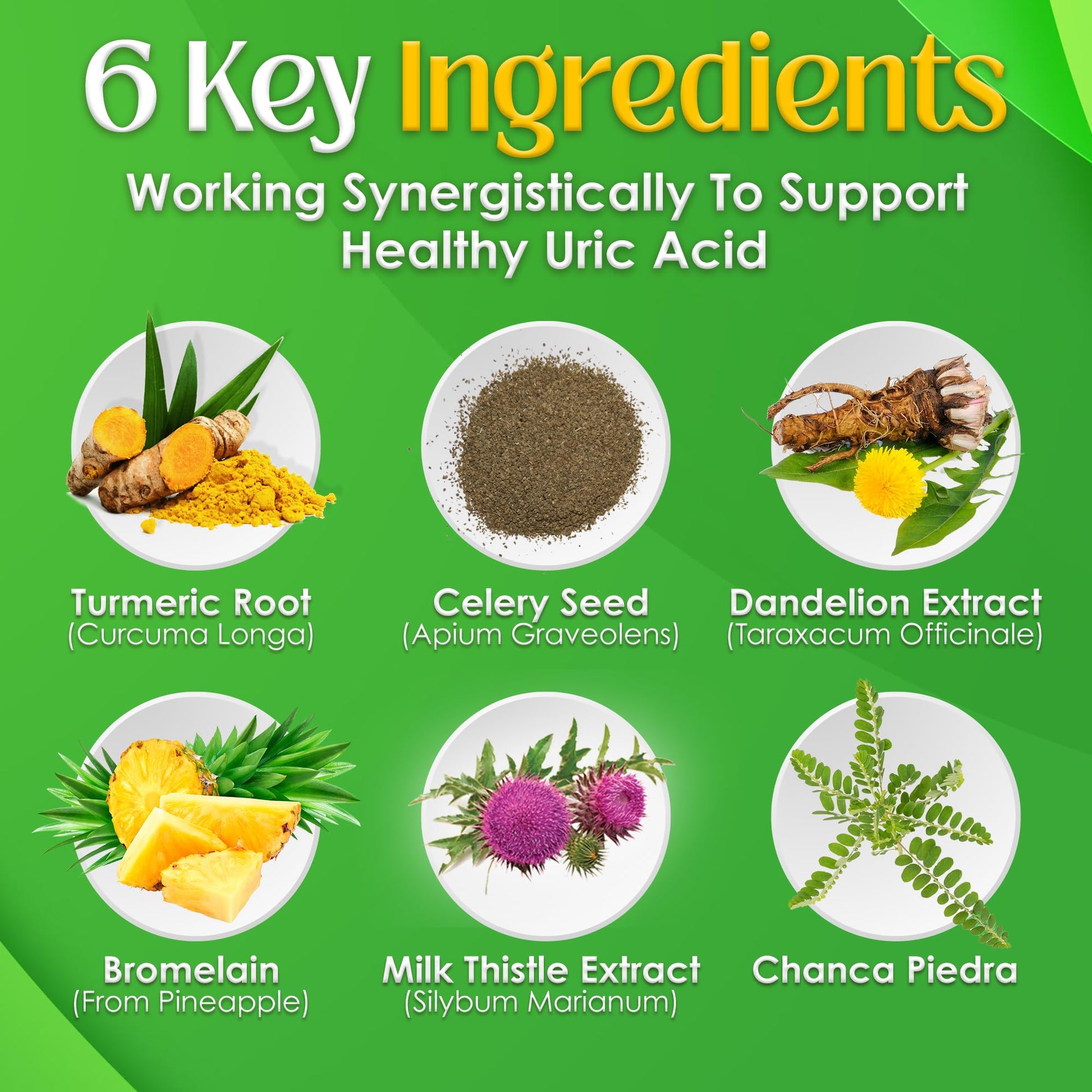 Nutrigout and Joint & Muscle Relief Cream Gout and You buy supplements canada