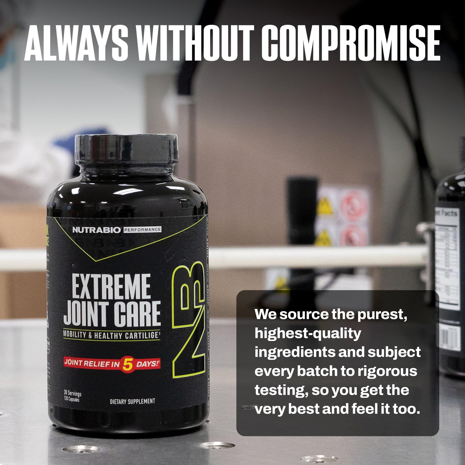 NutraBio Extreme Joint Care - Joint Support Supplement - Joint Health Supplement, Supports Joints, Mobility, and Cartilage - 120 Capsules NutraBio buy supplements canada