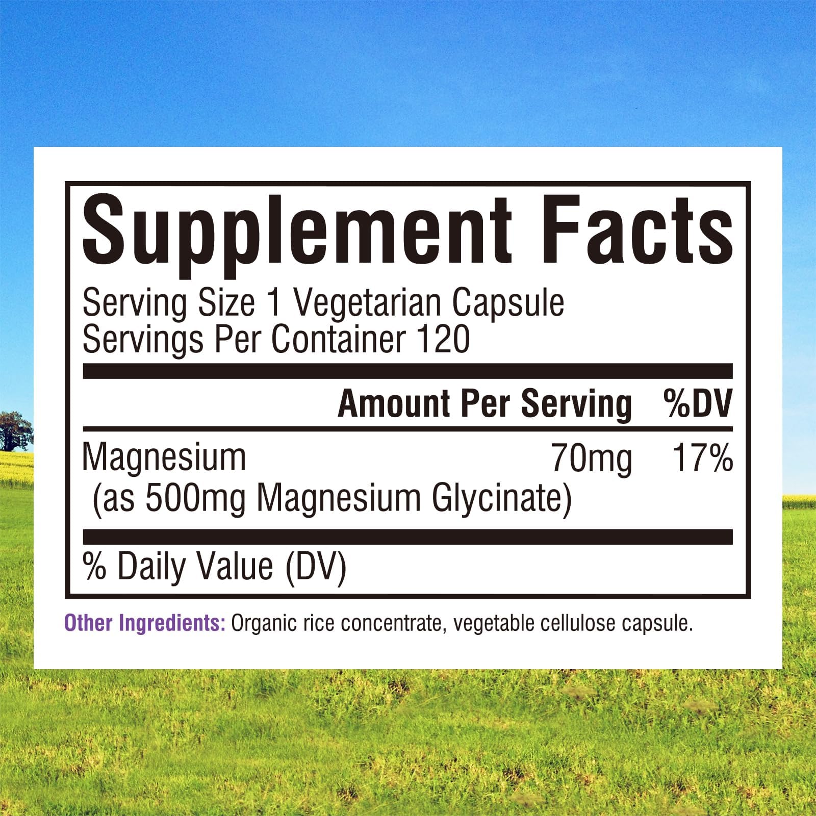 Innate Vitality Magnesium Glycinate 500mg | 70mg Elemental Magnesium Supplement - High Absorption, Non Buffered, Non-GMO & No Gluten - Vegan - Nerve Health - 120 Capsules (Pack of 1) Innate Vitality buy supplements canada