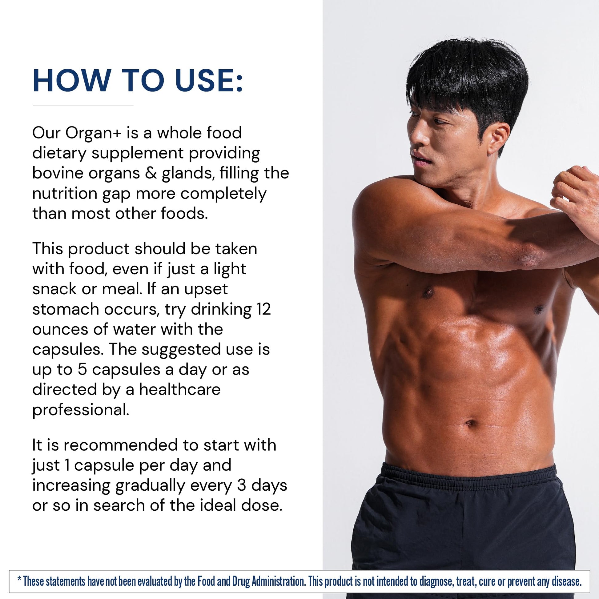 BodyHealth Organ+ Grass-Fed Glandular Organ Complex, Grassfed Beef Organ Supplement, Dessicated Beef Liver, Heart, Kidney, Pancreas, Spleen, Non GMO, Adrenal, Supplement, (150 Capsules) BodyHealth buy supplements canada