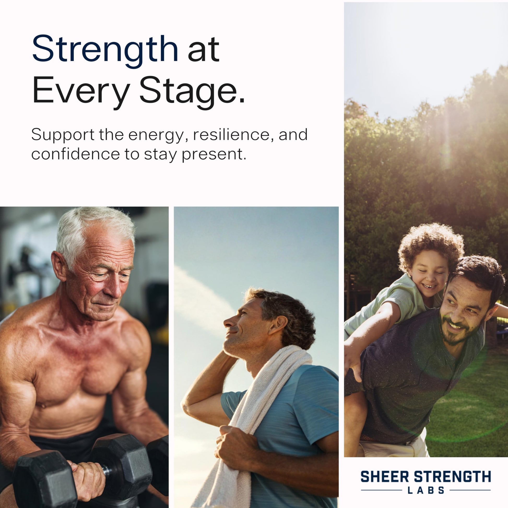 Testosterone Booster for Men - Sheer Alpha T-Booster - Clinically Backed Dose, Strongest Formula - Made in USA - Premium Blend of Fadogia Agrestis Tongkat Ali and Shilajit. 30 Servings Sheer Strength Labs buy supplements canada