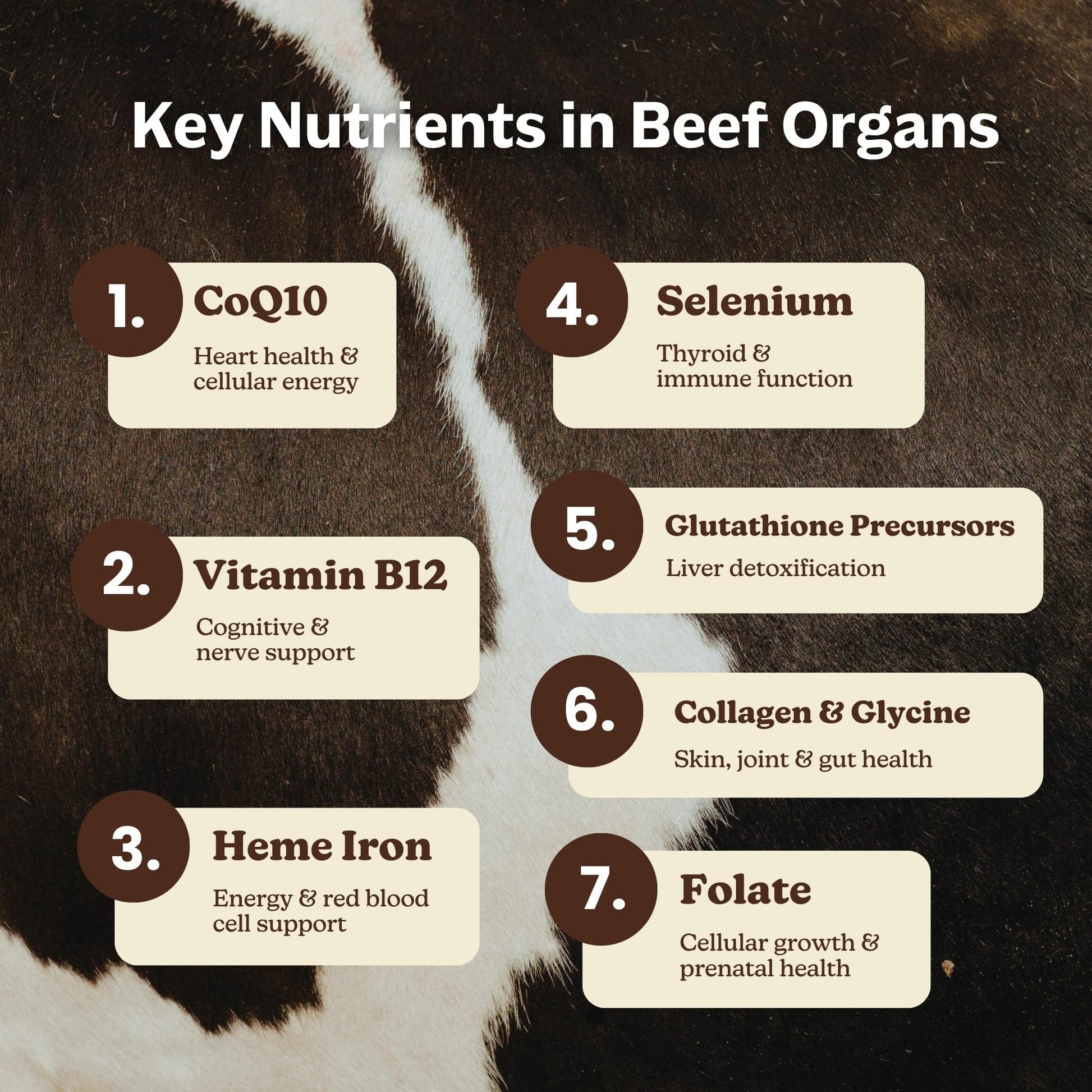 MK Supplements Grass-Fed Beef Organs Capsules | 5 Organs in Nature-Identical Ratios | B12, Copper & Heme Iron | Regeneratively Raised | 150 Capsules MK Supplements buy supplements canada