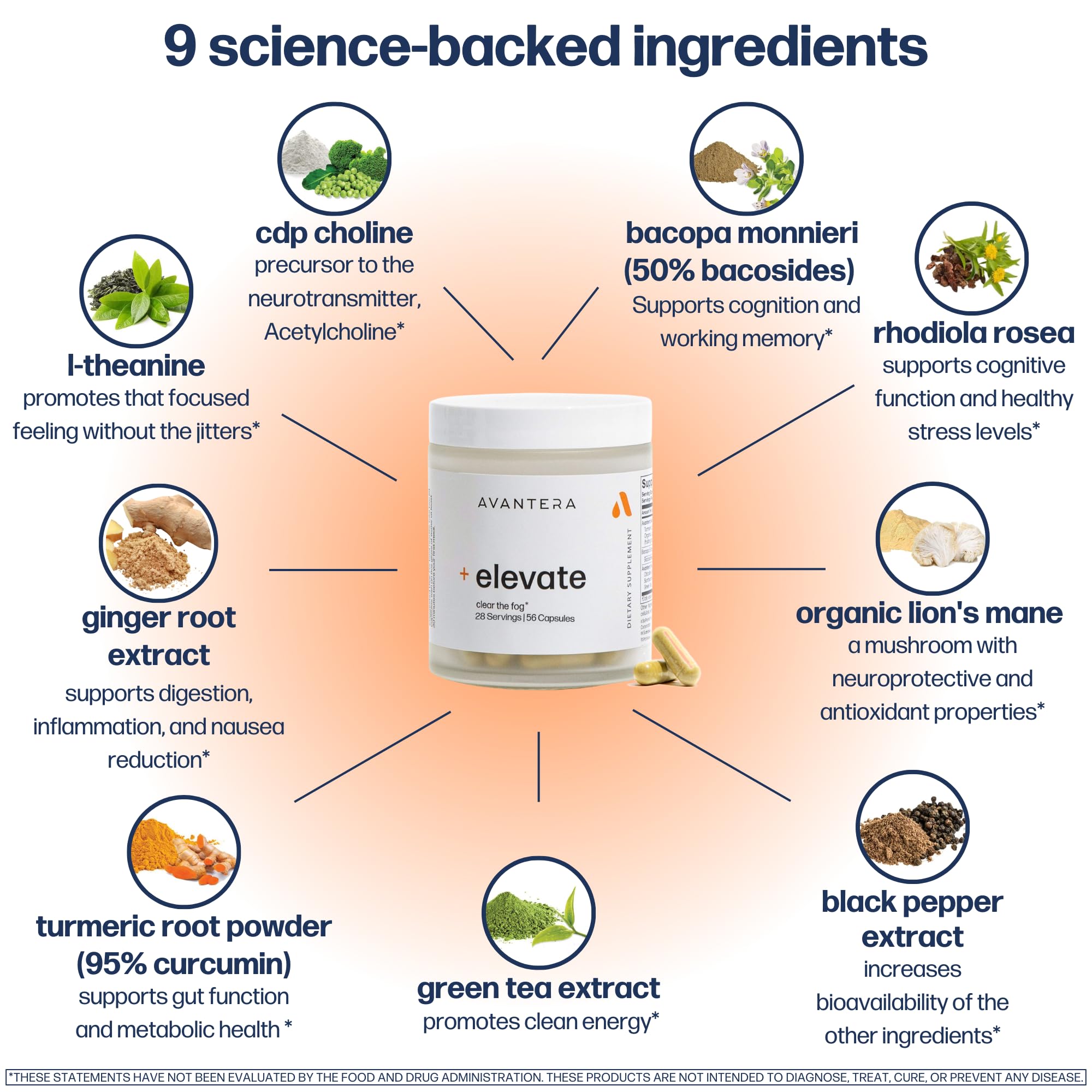 Avantera Elevate Premium Nootropic Supplement - Beat Brain Fog - Best Focus Supplements for Memory & Focus Support - Energy Without Crash Avantera buy supplements canada