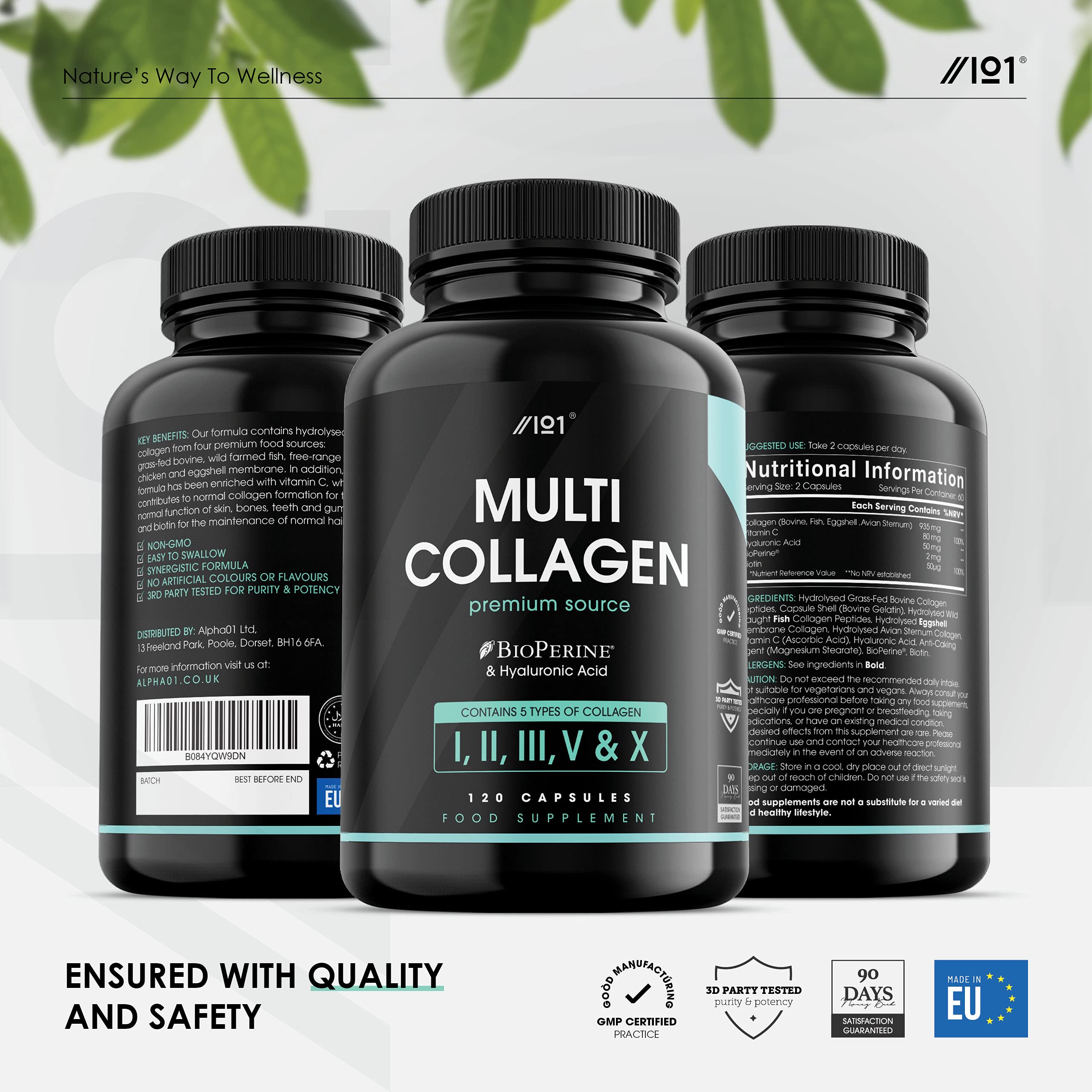 Multi Collagen Capsules - 120 Capsules - Types I, II, III, V & X - Wild Caught Fish, Grass Fed Bovine, Eggshell Revive Naturals buy supplements canada