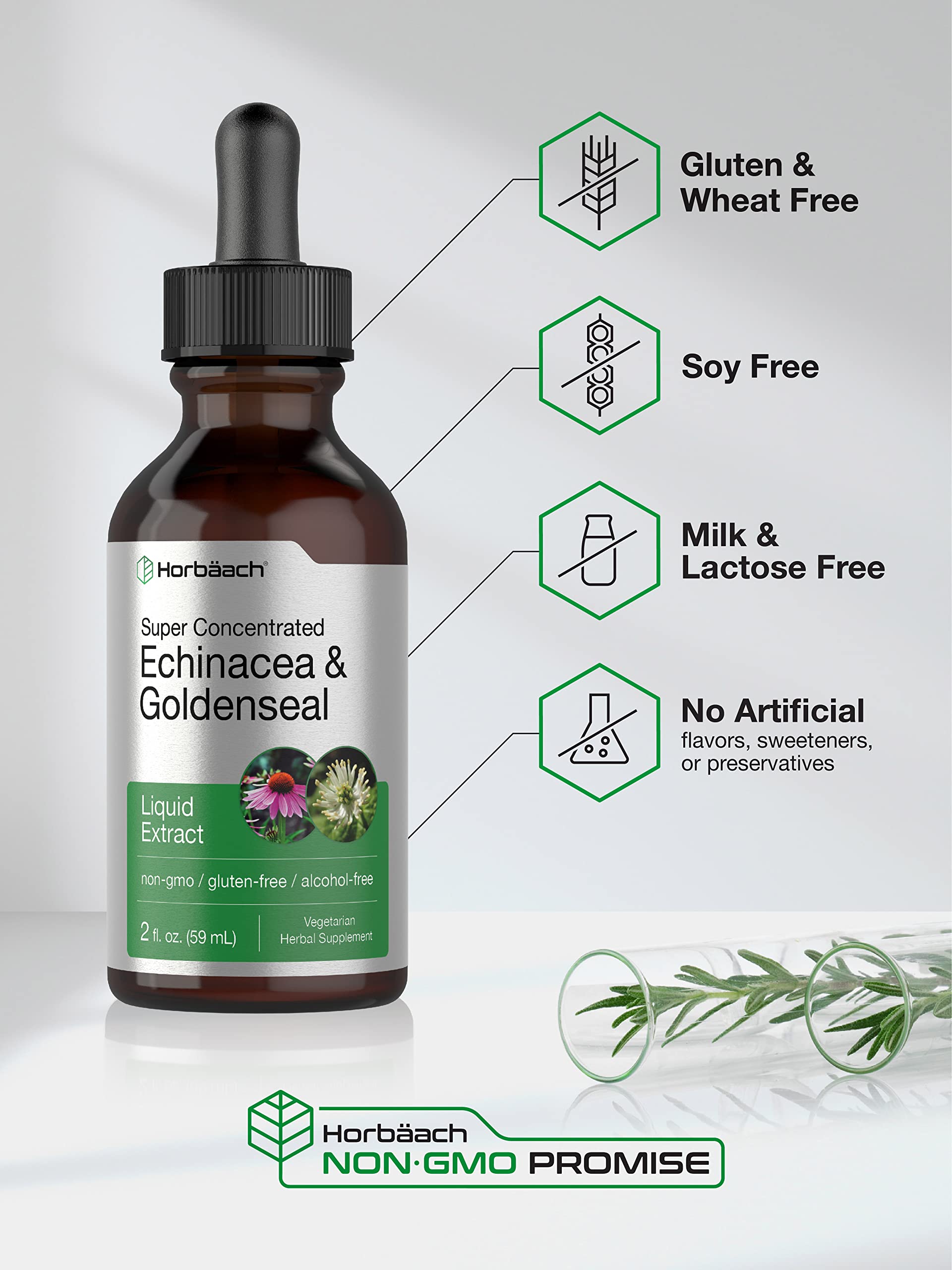 Echinacea Goldenseal Liquid Extract | 2 fl oz | Alcohol Free Tincture Drops | Vegetarian Horbäach buy supplements canada
