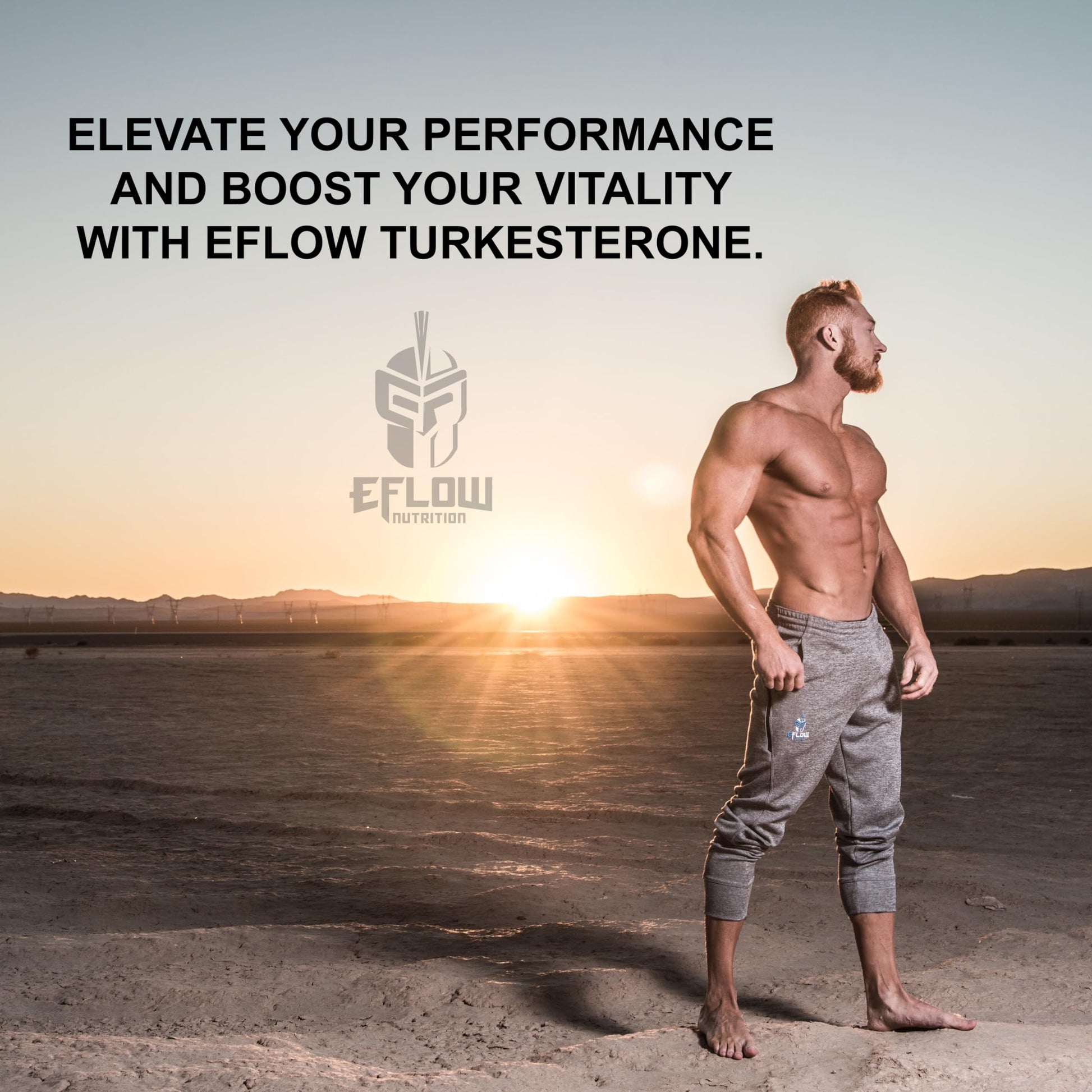 eFlow Nutrition Turkesterone (500 mg) Ajuga Turkestania Extract Complexed eFlow Nutrition buy supplements canada