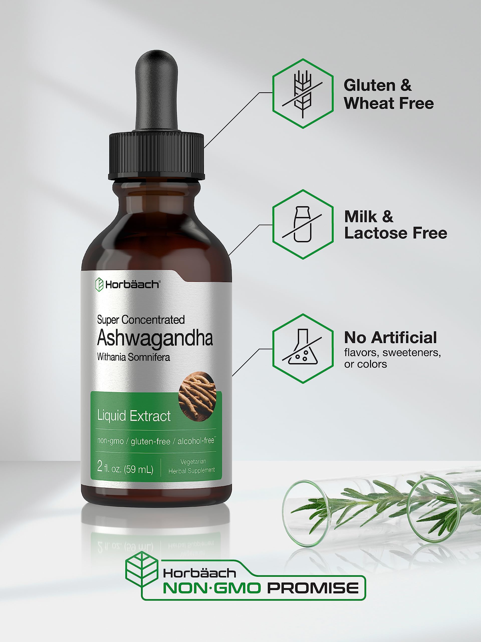 Ashwagandha Root Liquid Extract | 2 fl oz | Alcohol Free Tincture | Vegetarian, Non-GMO, Gluten Free Supplement | by Horbaach Horbäach buy supplements canada