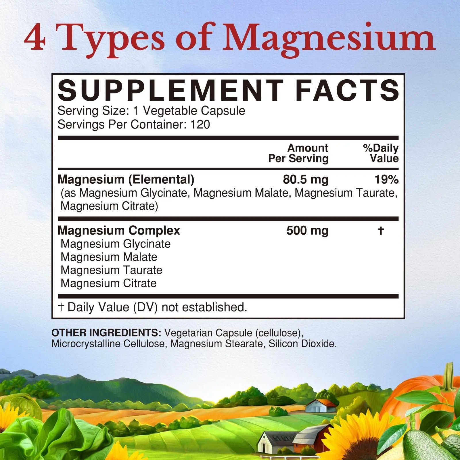 Vitalitown Magnesium Complex Supplement 500mg - NSF Certified Magnesium Glycinate, Malate, Taurate & Citrate - Chelated High Absorption & Gentle on Stomach - Vegan Non-GMO 120 Capsules VITALITOWN buy supplements canada