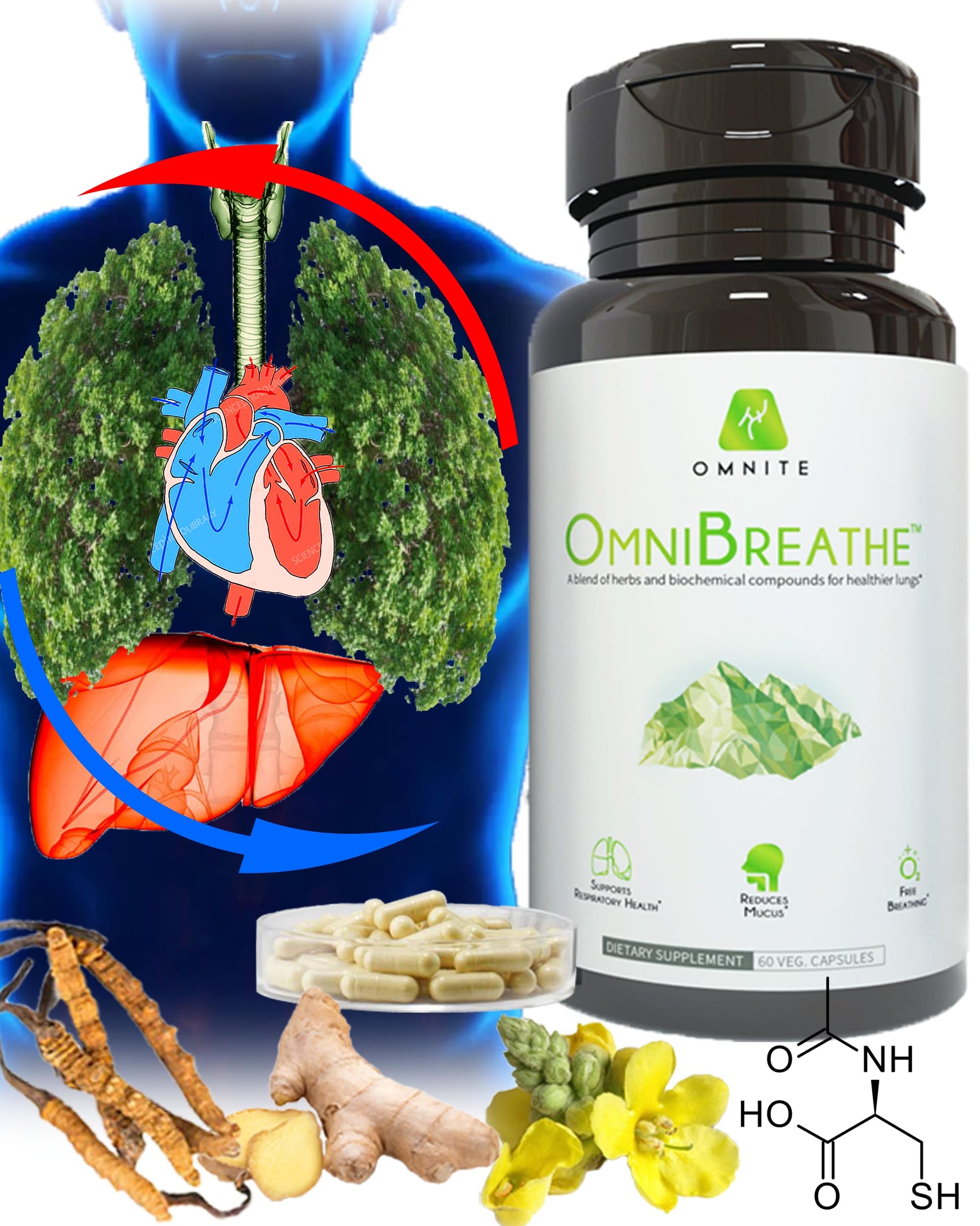 Omnite OMNIBREATHE Respiratory Health Supplement,Inhaler Mate,Support Quit Smoking Omnite buy supplements canada