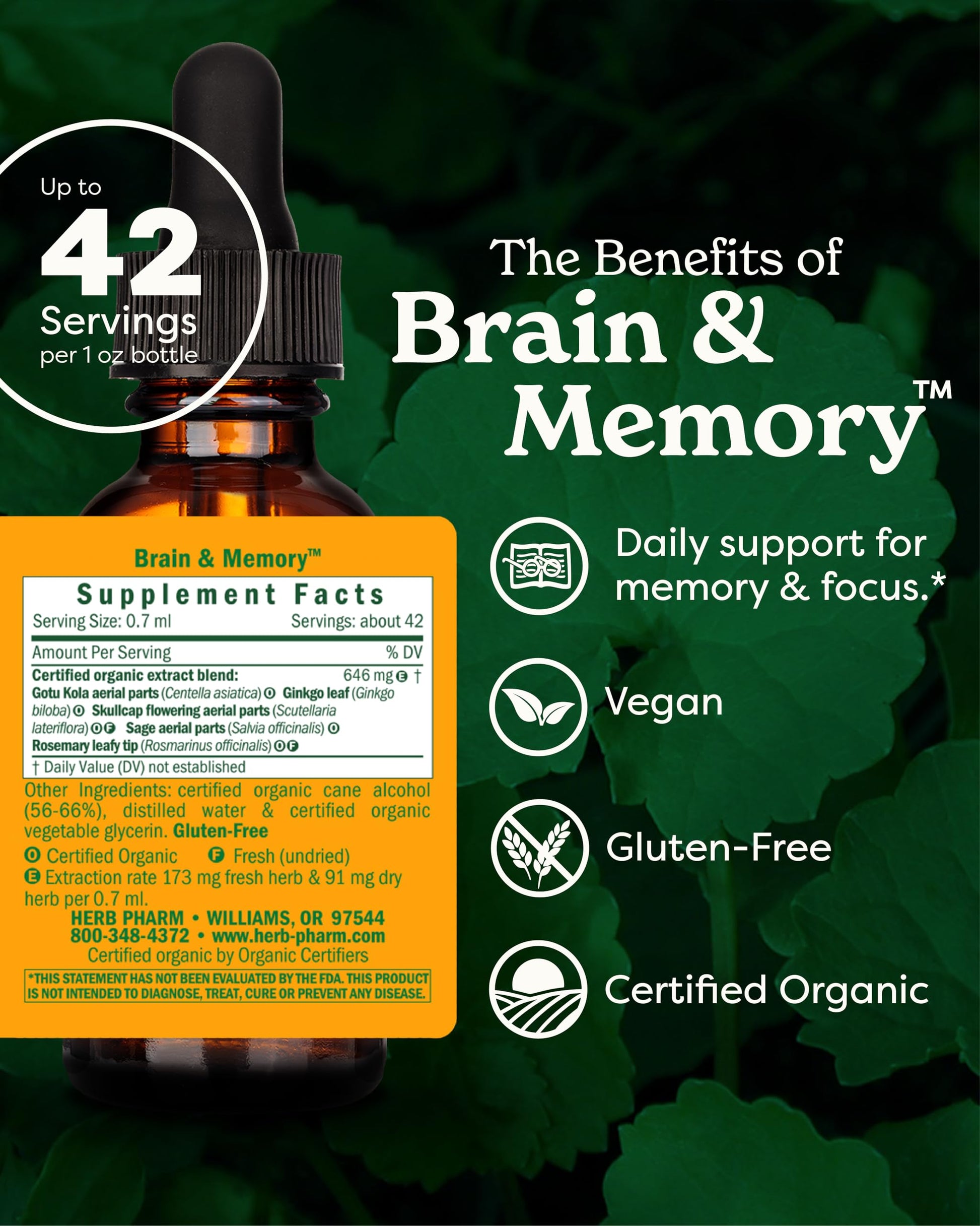 Herb Pharm Organic Nootropic Brain & Memory Supplement with Ginkgo Biloba Liquid Extract: Fast Absorption for Mental Focus Support, Ginkgo Supplement, Vegan, Gluten-Free, Non-GMO, 1 Oz Herb Pharm buy supplements canada