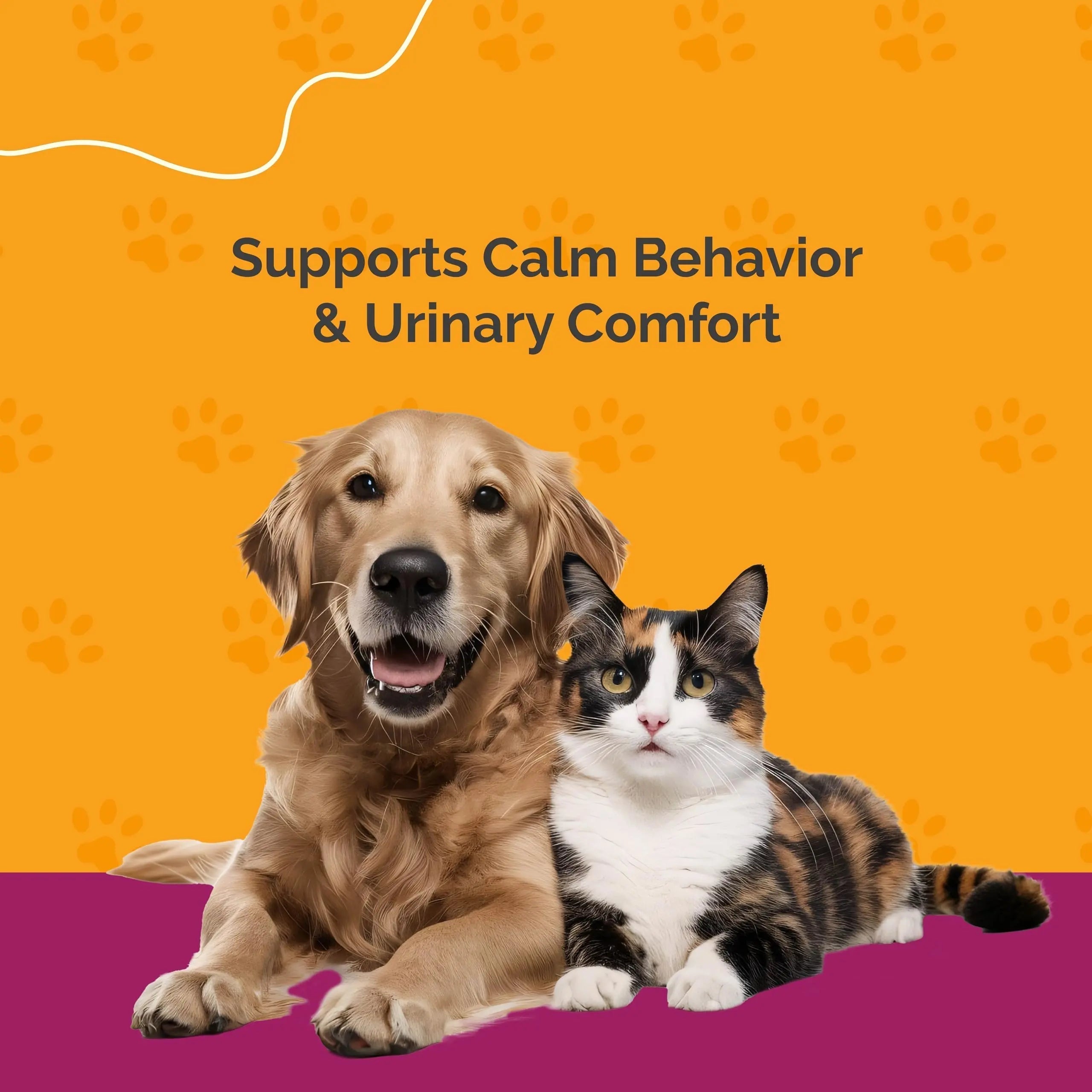 PureCat Urinary Tract Infection Care for Cat & Dog | Calming Urinary Tract & Kidney Support for Pets | Bladder Infection Treatment | UTI Drops | Veterinarian Recommended PureCat buy supplements canada