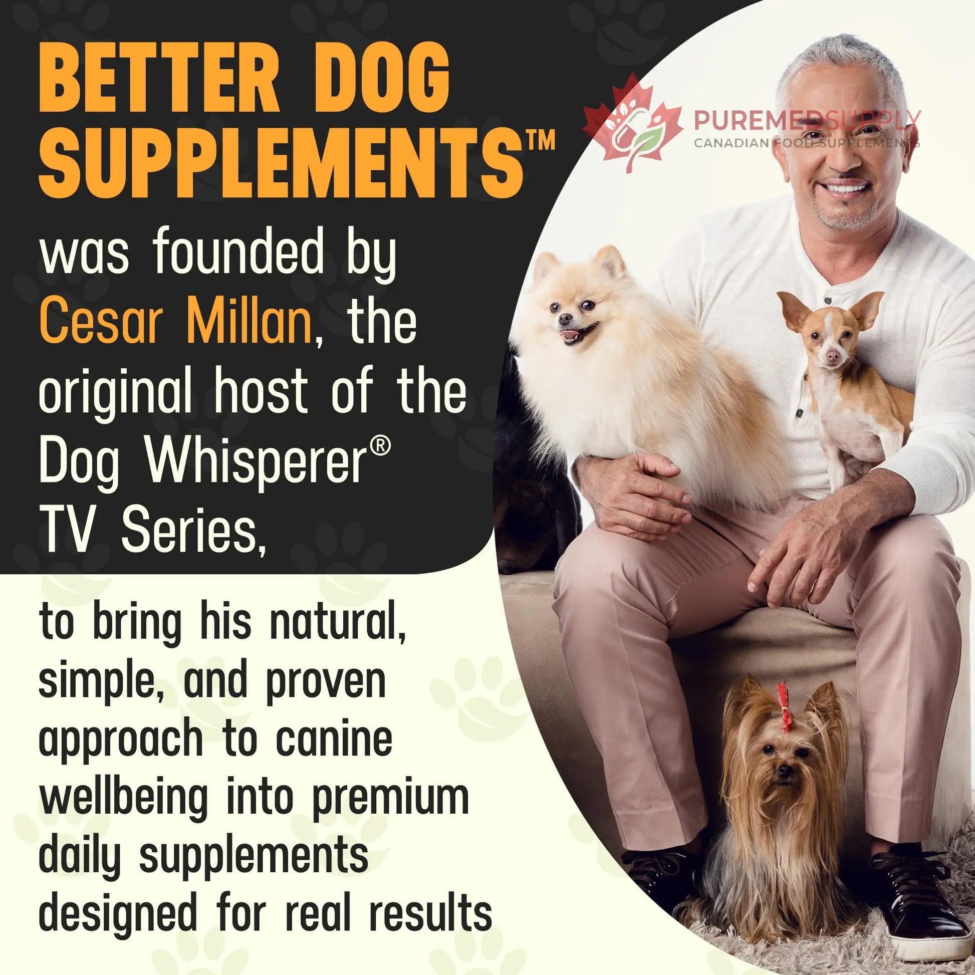 Better Dog Supplements Happy-Go-Lucky Belly by Cesar Millan - Natural Dog Digestive Support Powder – Dog Constipation Relief, Gut Balance & Regularity with Herbal Fiber for Dogs – 4oz (60-Day Supply) Better Dog Supplements By Cesar Millan buy supplements canada