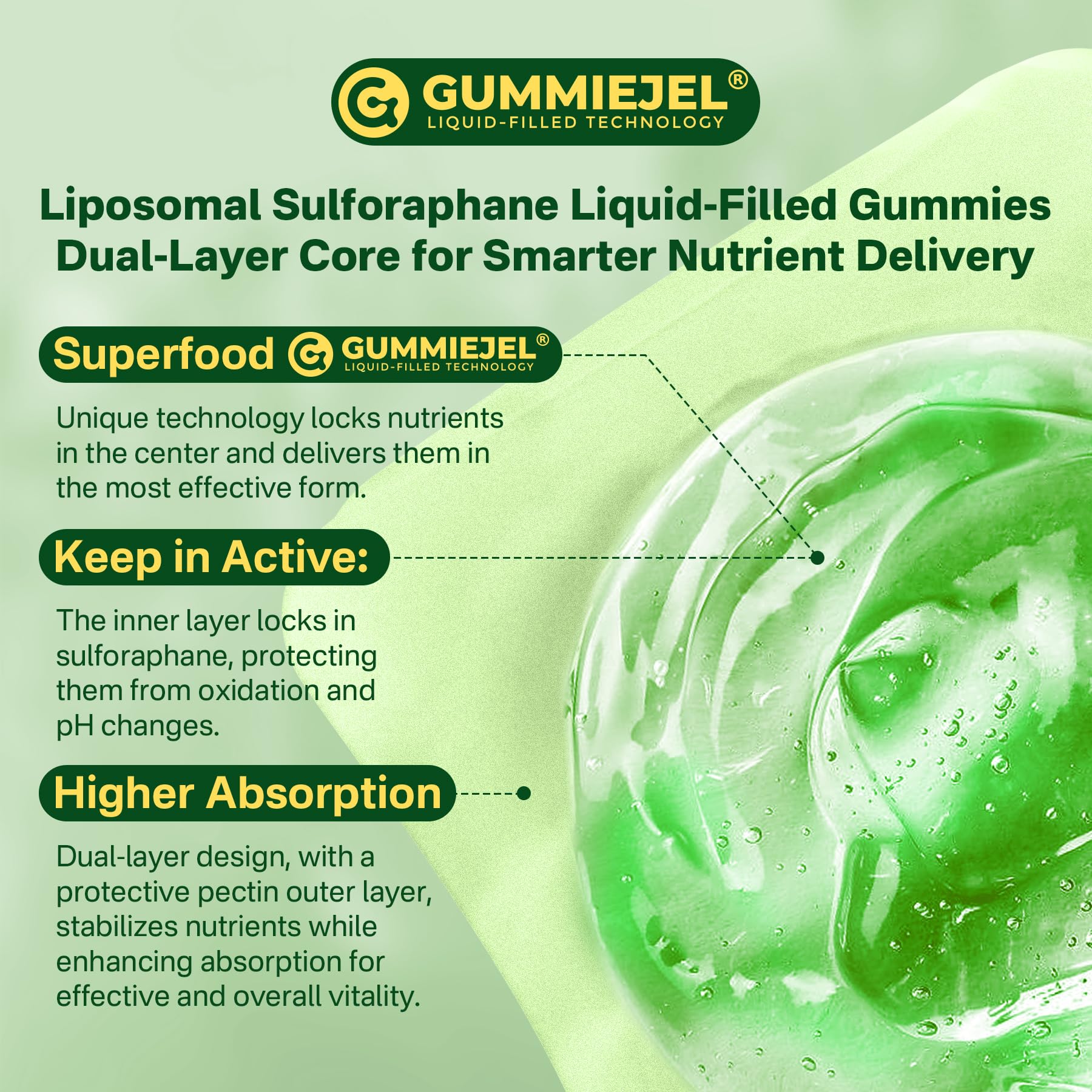 Liposomal Sulforaphane Supplement 150mg, from Broccoli Seed Extract w/Myrosinase, Quercetin, Glutathione, Sulforaphane Supplement Gummies for Antioxidants Detox Cellular Brain Health, Chewable 60Cts LILICARE buy supplements canada