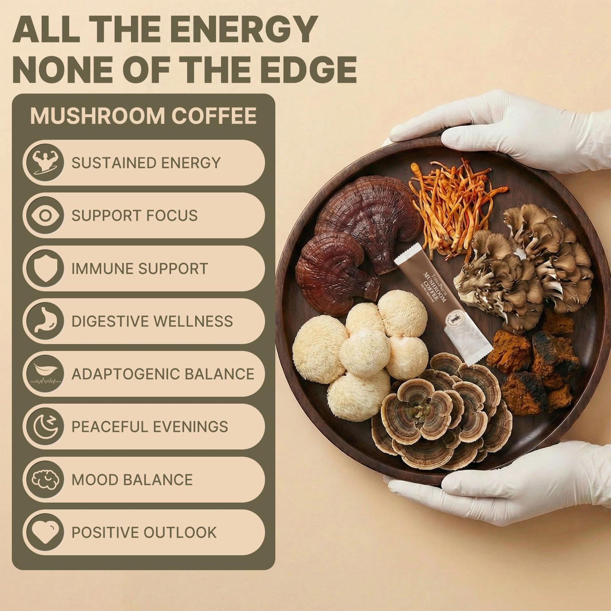 TerraPrecis Mushroom Coffee with 6 Adaptogens Mushrooms Supplement for Organic Lion's Mane&Reishi,Chaga&Other, Instant Coffee with MCT Oil& Arabica for Energy,Focus&Immune Support (30 Servings) TerraPrecis buy supplements canada