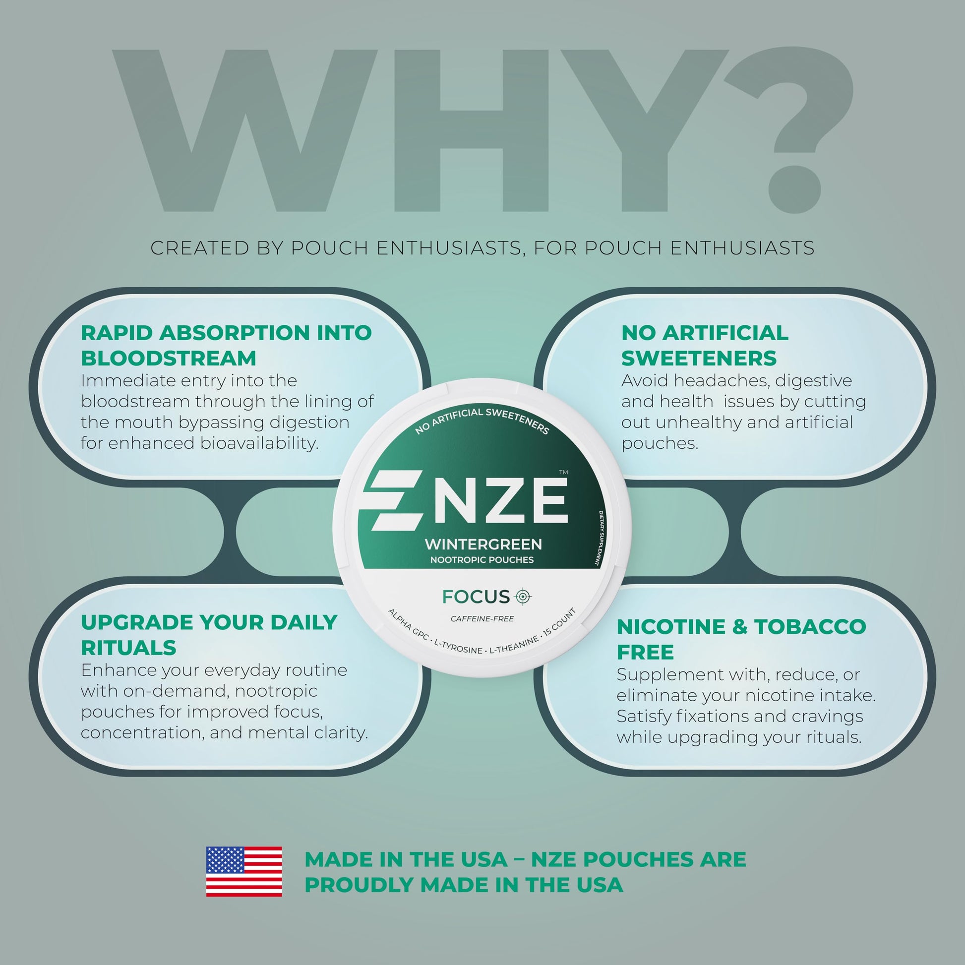 NZE Caffeine Free Nootropic Pouches (Wintergreen) - Nootropic Pouches with Alpha GPC, L-Tyrosine & L-Theanine - No Sugar or Artificial Sweeteners - 15 Pouches Per Can - 5 Pack NZE buy supplements canada