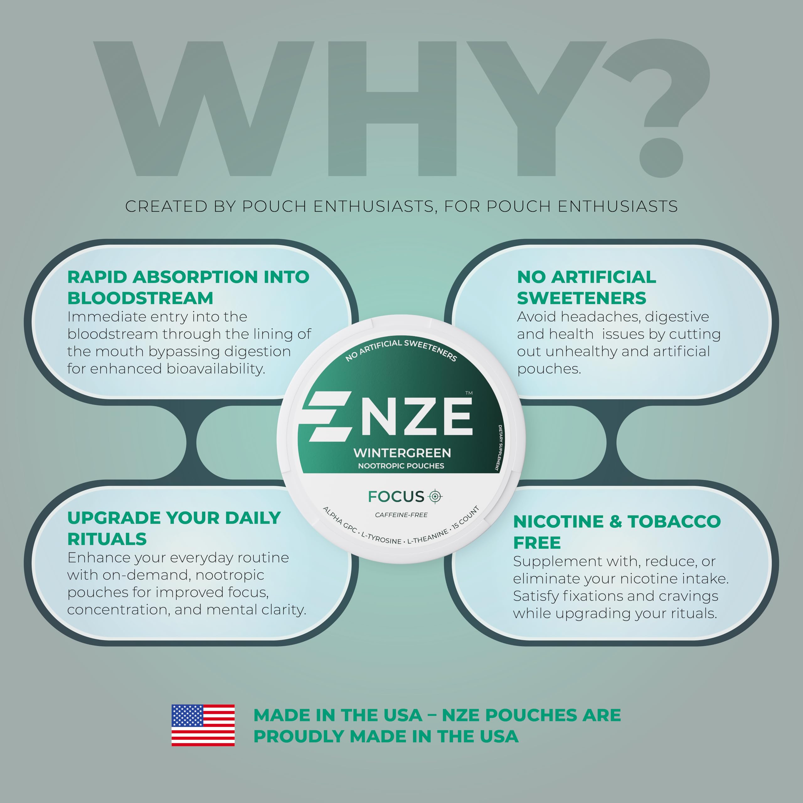 NZE Caffeine Free Nootropic Pouches (Wintergreen) - Nootropic Pouches with Alpha GPC, L-Tyrosine & L-Theanine - No Sugar or Artificial Sweeteners - 15 Pouches Per Can - 5 Pack NZE buy supplements canada