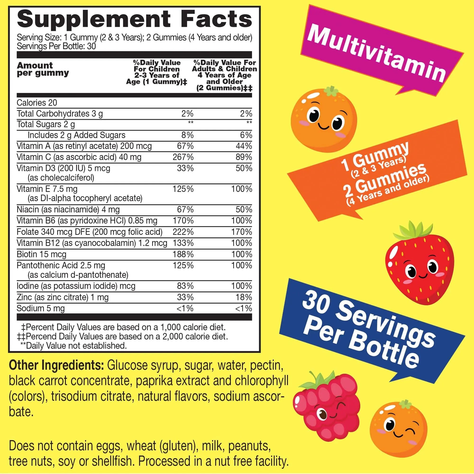 WellYeah Kids Multivitamin Gummies | Vitamin C, D3, E, A, B6, B12, Biotin, Zinc, Folic Acid, Iodine, and Niacin | Immune and Energy Support WellYeah buy supplements canada