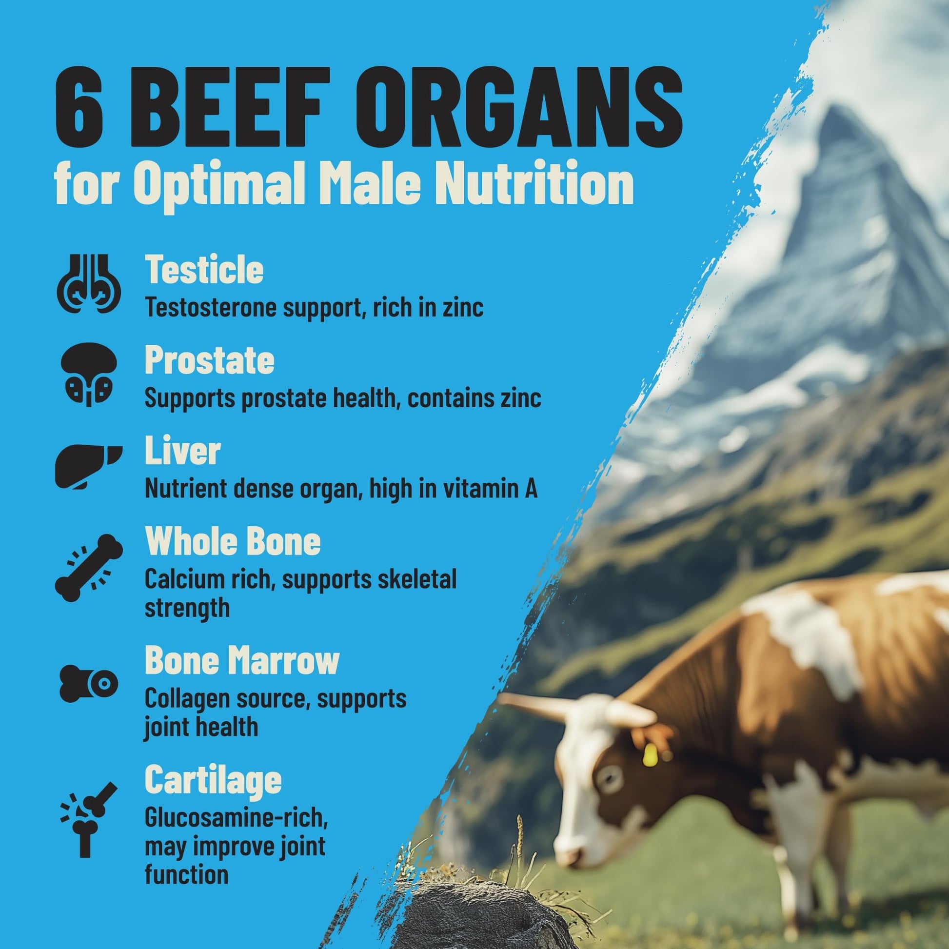 Grass Fed Beef Organ Supplement for Men - Male Optimization Pills - 6 Vital Beef Organs to Drive Prostate Health & Peak Performance, Made in USA, 90 Capsules (2 Pack) PRIMAL FURY buy supplements canada