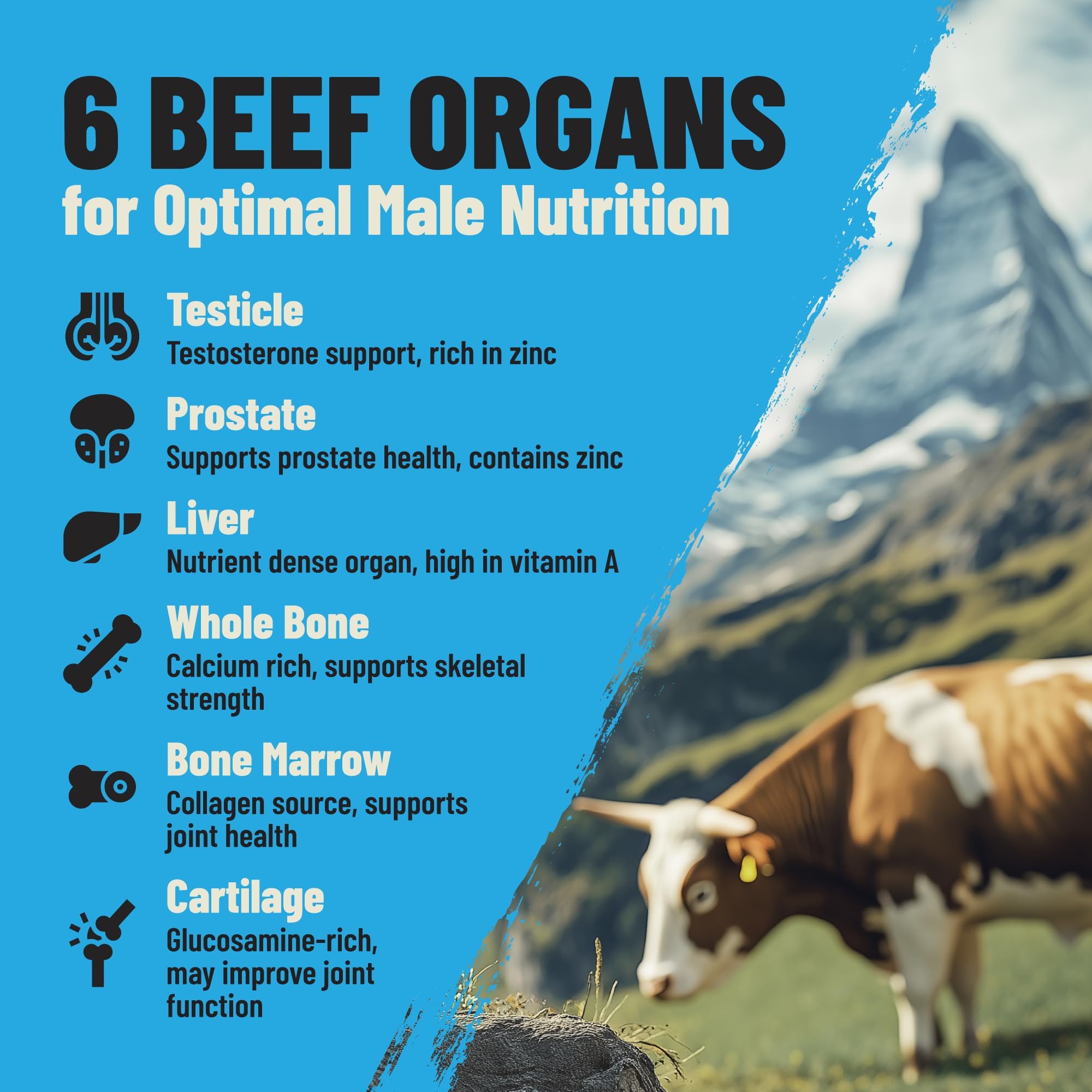 Grass Fed Beef Organ Supplement for Men - Male Optimization Pills - 6 Vital Beef Organs to Drive Prostate Health & Peak Performance, Made in USA, 90 Capsules (2 Pack) PRIMAL FURY buy supplements canada