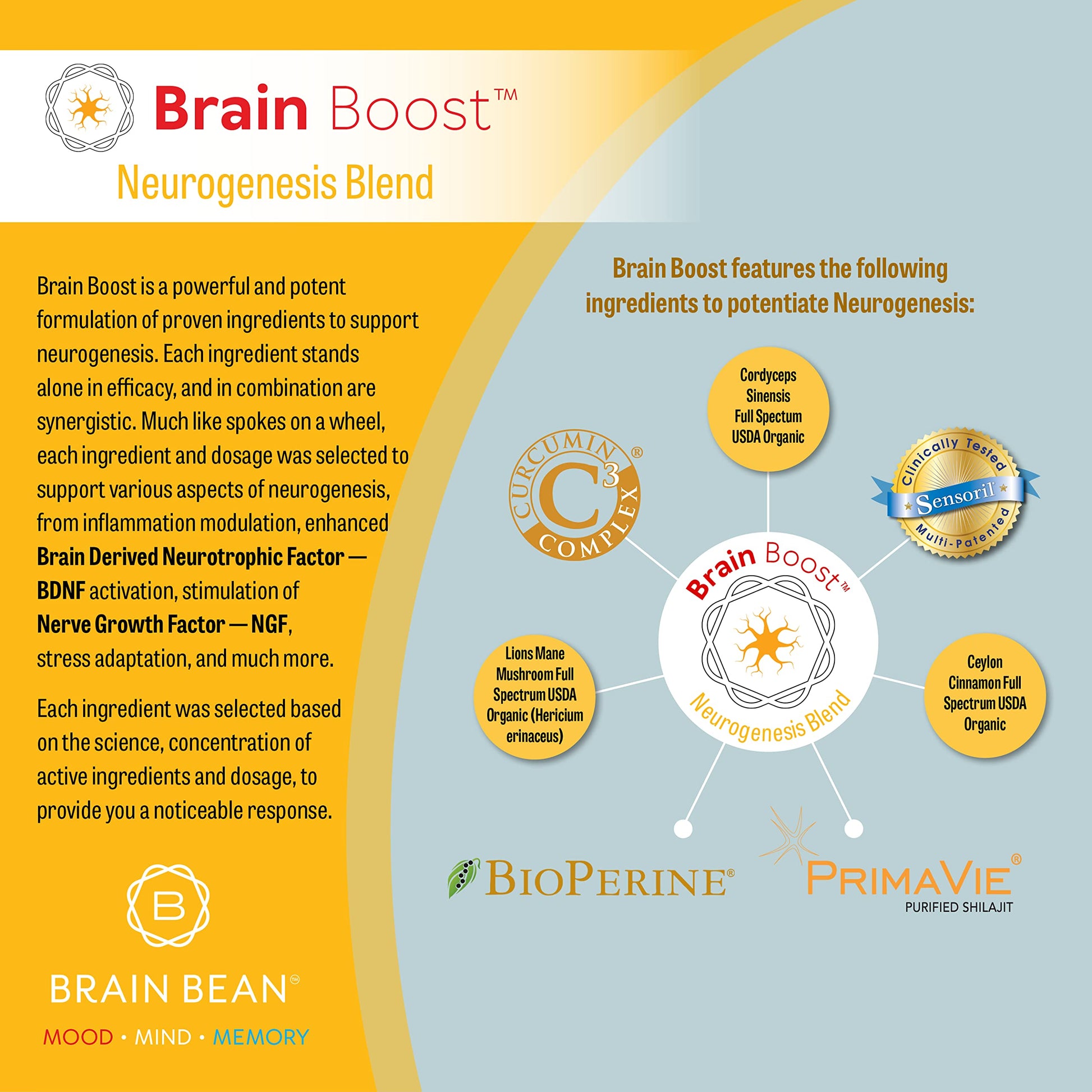 Brain Bean Brain-Boost (Formerly Brain Bean buy supplements canada