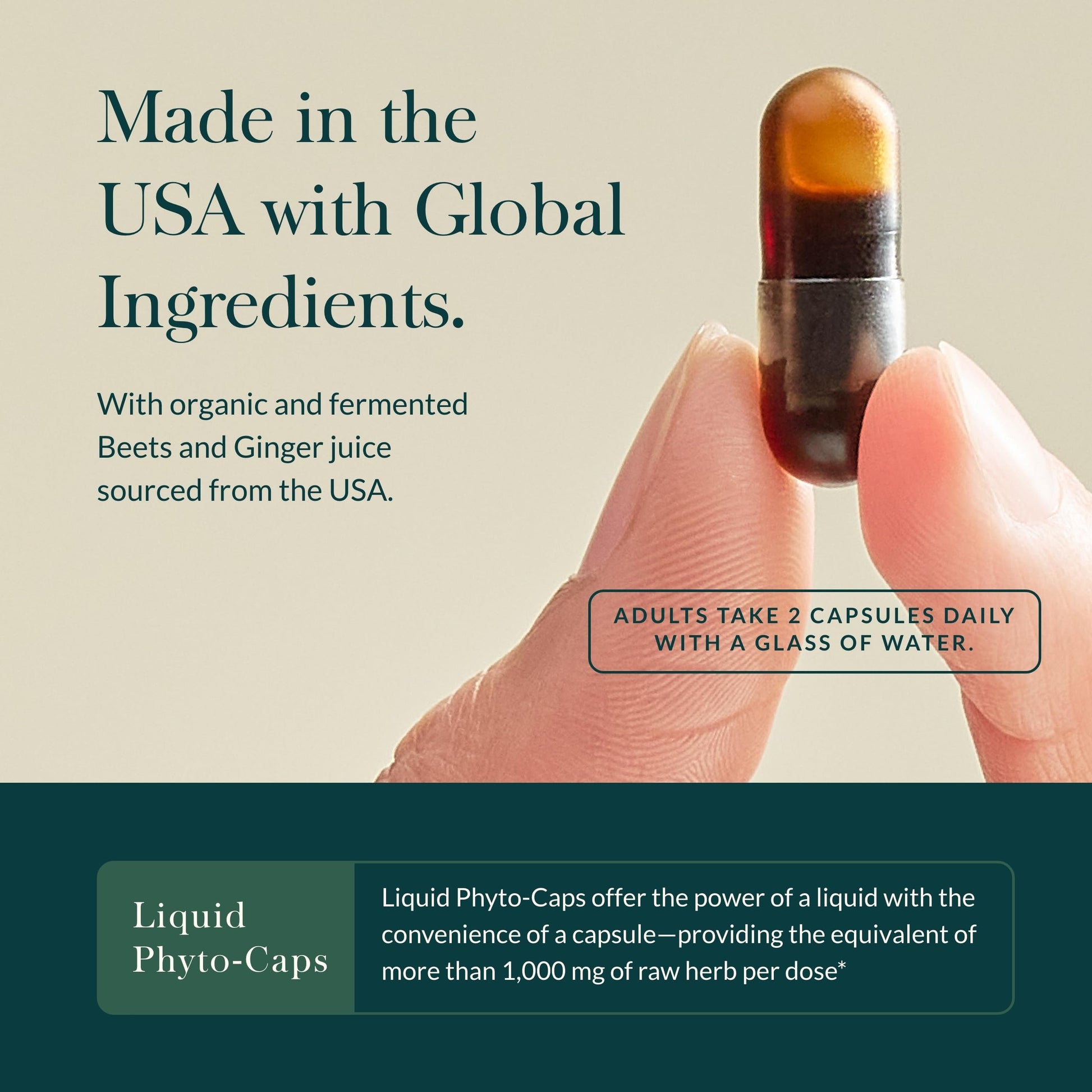 Gaia Herbs Ginger-Beet Postbiotic - Supplement for Gut & Heart Health Support* - Made with Fermented Beets & Ginger - Free from Dairy, Soy & Gluten - 60 Vegan Liquid Phyto-Caps (30 Servings) Gaia Herbs buy supplements canada