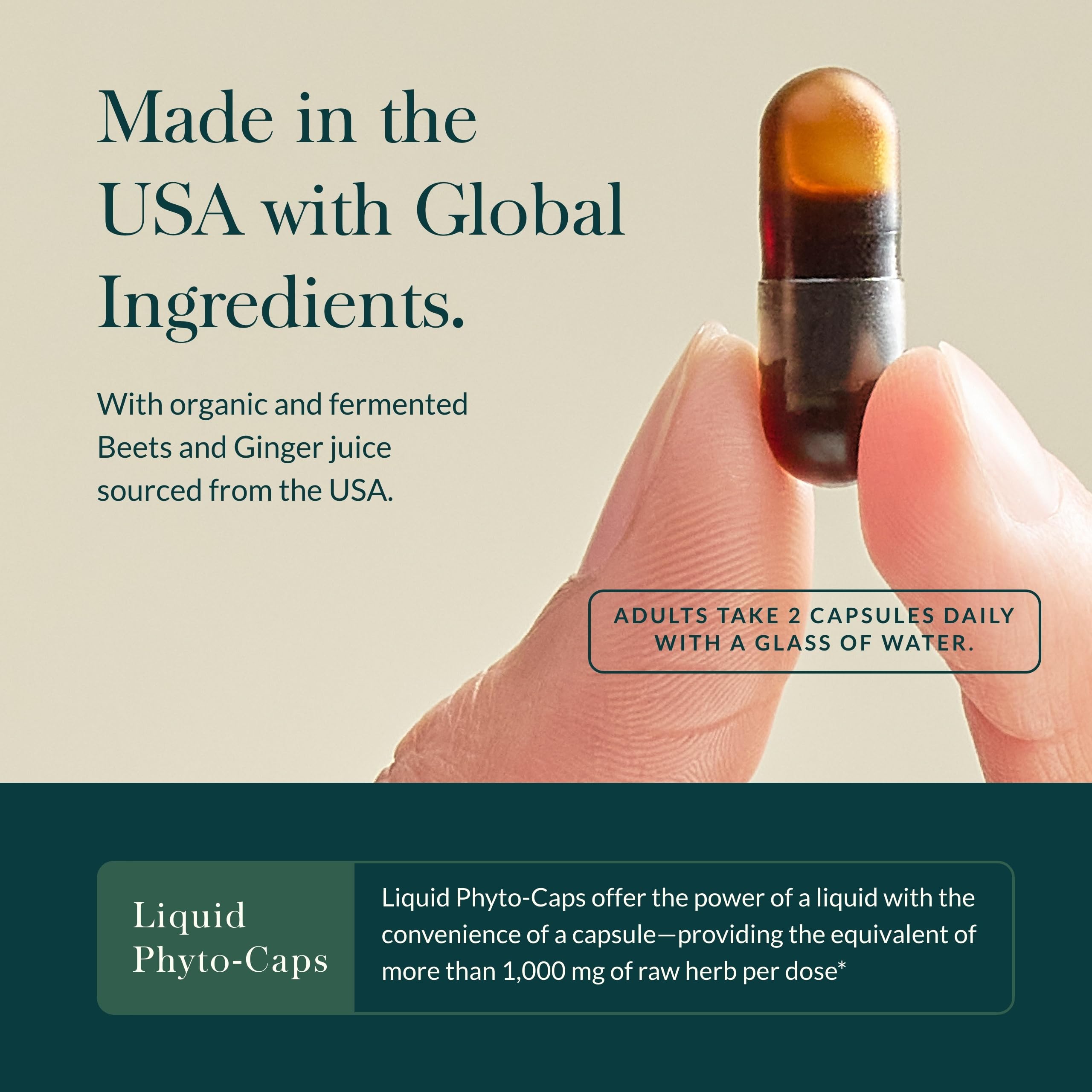 Gaia Herbs Ginger-Beet Postbiotic - Supplement for Gut & Heart Health Support* - Made with Fermented Beets & Ginger - Free from Dairy, Soy & Gluten - 60 Vegan Liquid Phyto-Caps (30 Servings) Gaia Herbs buy supplements canada
