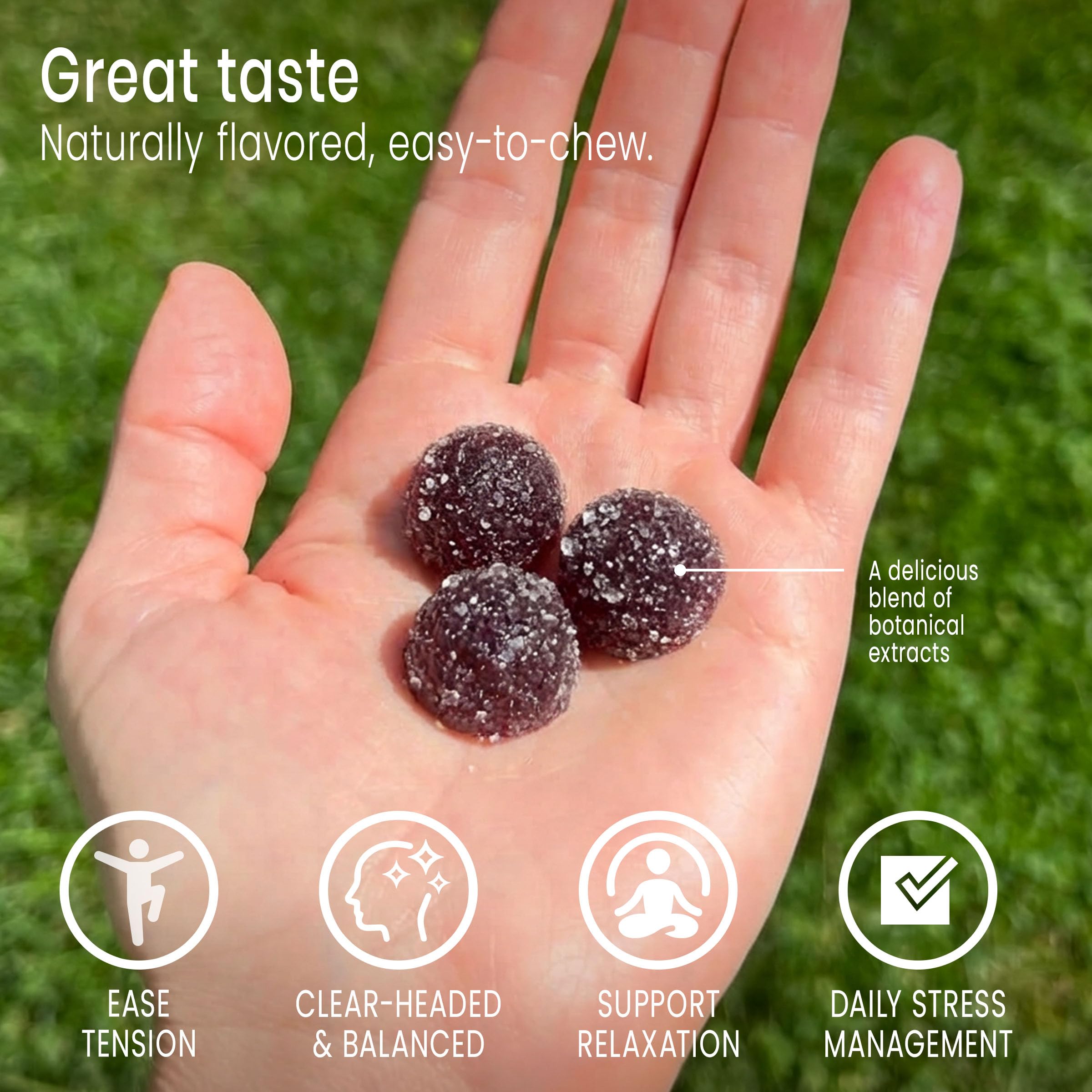 Sunsoil A World of Calm Organic Gummies, USDA Certified Organic, No Glucose, Vegan, Gluten-Free, Plant-Based Sunsoil Supplements buy supplements canada