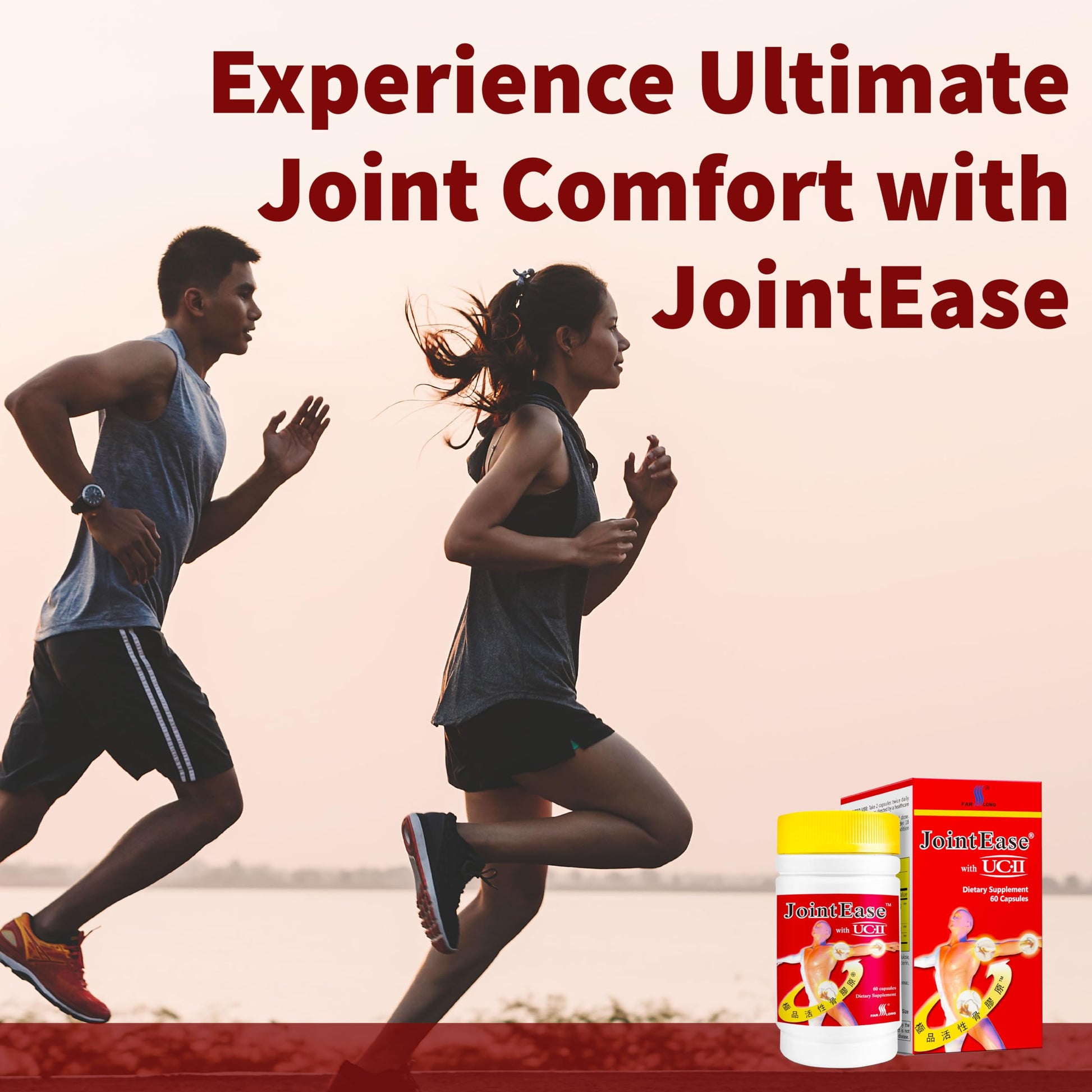 FARLONG JointEase with UC-II, Undenatured Type II Collagen, Glucosamine Hydrochloride, Chondroitin Sulfate, Joint Dietary Supplement | 60 Capsules FAR LONG buy supplements canada
