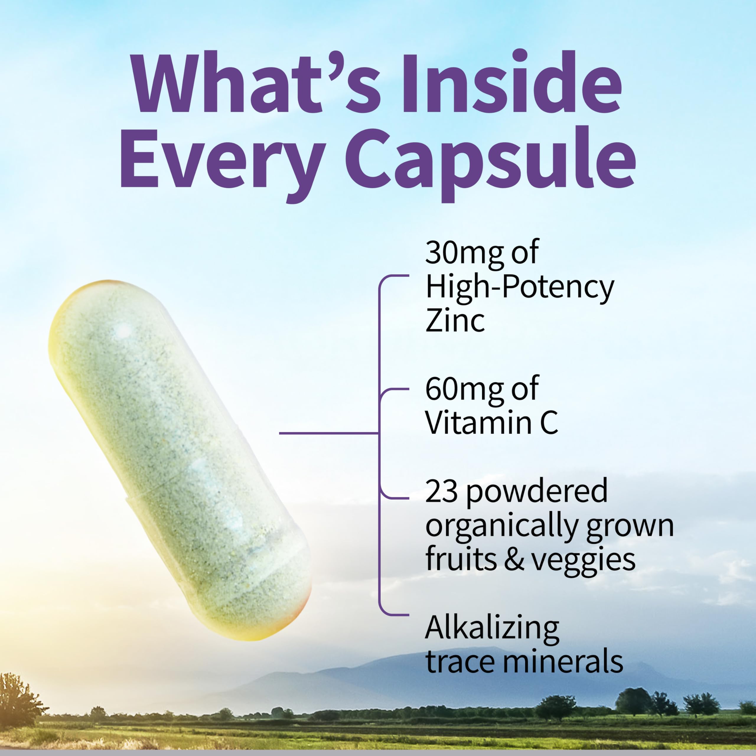 Garden of Life Zinc Supplements 30mg High Potency Raw Zinc and Vitamin C Multimineral Supplement, Vitamin Code Vitamins Trace Minerals & Probiotics Garden of Life buy supplements canada