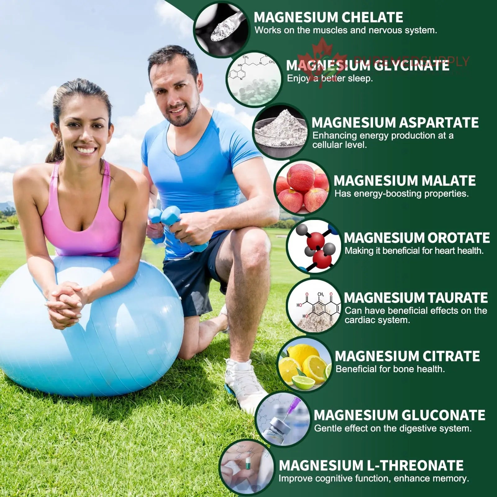 Magnesium Supplement with 9 Forms of High Absorption Magnesium Glycinate, L-threonate, Citrate, Malate and More for Muscle, Brain Support, Non-GMO, Gluten & Soy Free, 60 Capsules Simlike buy supplements canada