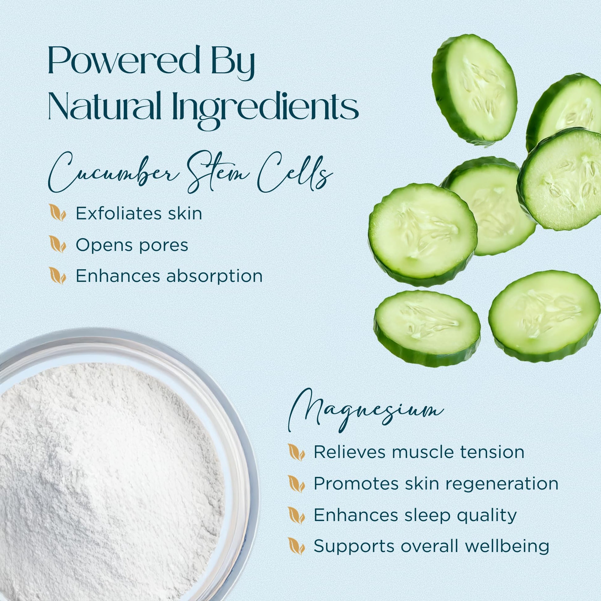 Abundant Natural Health MAG I.C. Magnesium Gel with Cucumber Stem Cells - Fast Muscle Relief, Soothing, Stingless, Safe for Sensitive Skin, Fragrance-Free, 200mL Abundant Natural Health buy supplements canada
