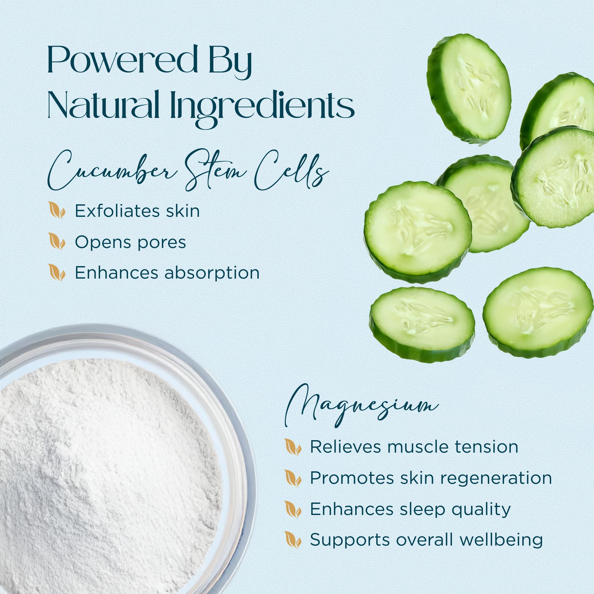 Abundant Natural Health MAG I.C. Magnesium Gel with Cucumber Stem Cells - Fast Muscle Relief, Soothing, Stingless, Safe for Sensitive Skin, Fragrance-Free, 200mL Abundant Natural Health buy supplements canada