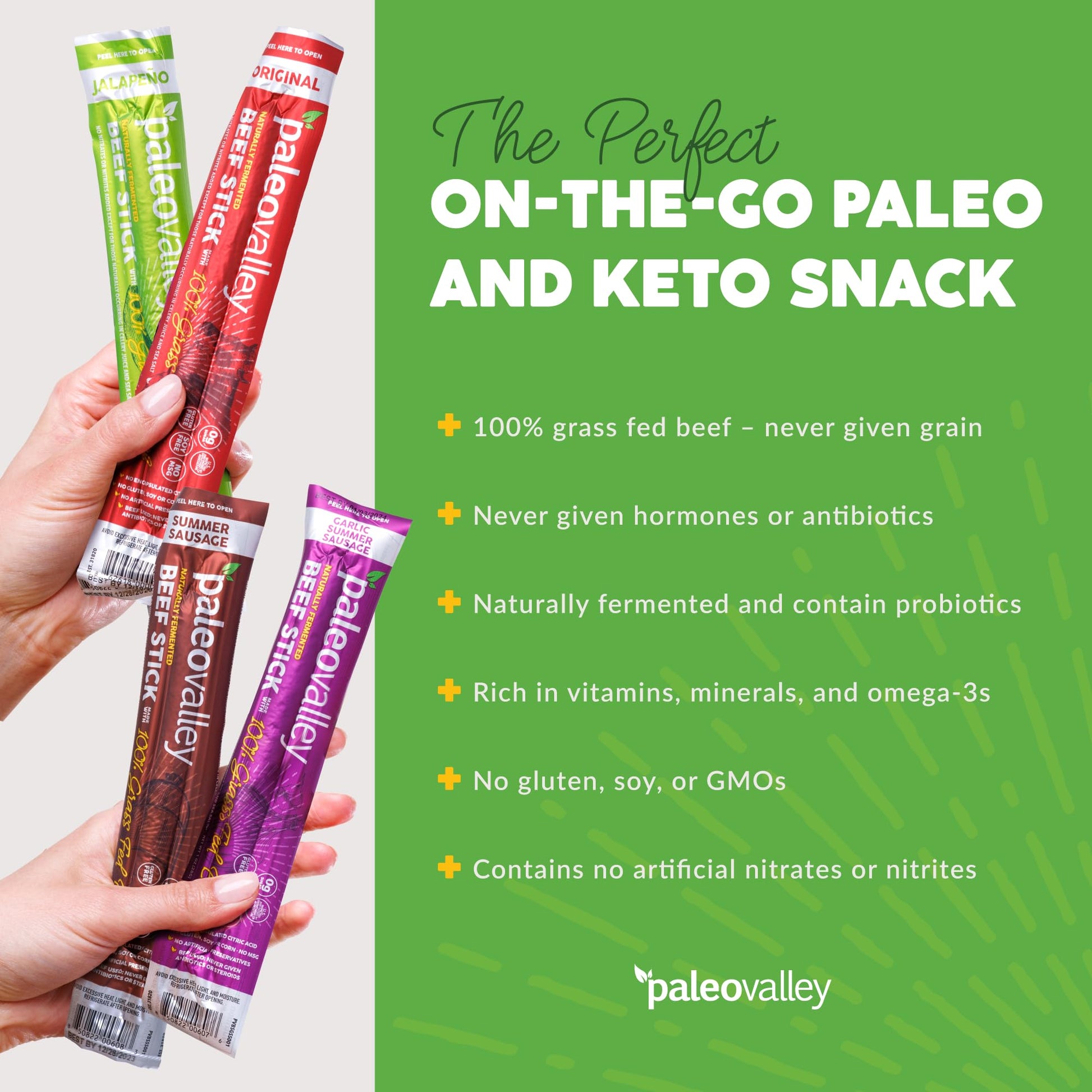 Paleovalley 100% Grass Fed Beef Sticks - Delicious Gluten Free Beef Snack - High Protein Keto Friendly, 40 Count Variety Pack Paleovalley buy supplements canada