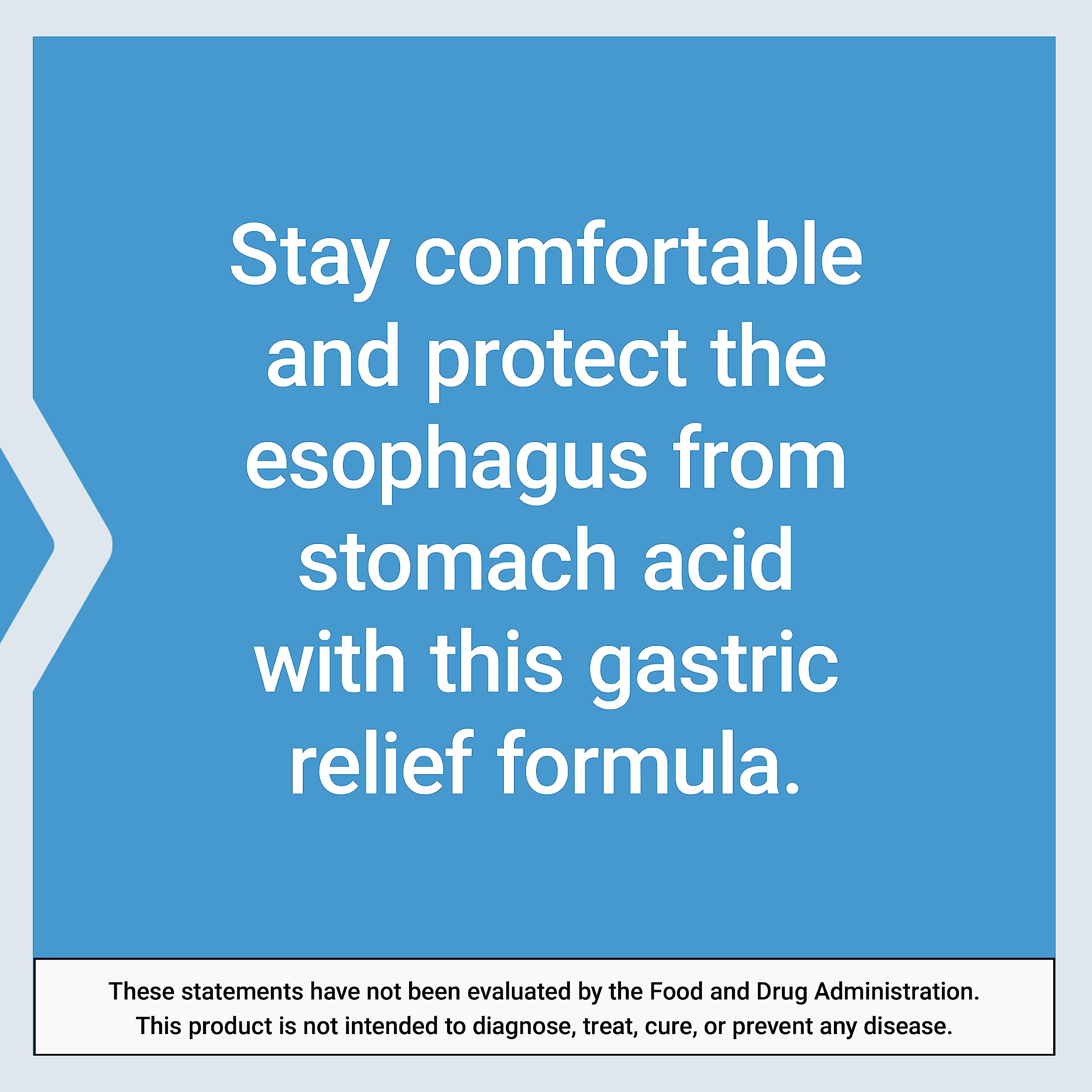Life Extension Esophageal Guardian, alginic Acid, Potassium Bicarbonate, get Long-Lasting Relief from gastric Distress, Vegetarian, Non-GMO Life Extension buy supplements canada