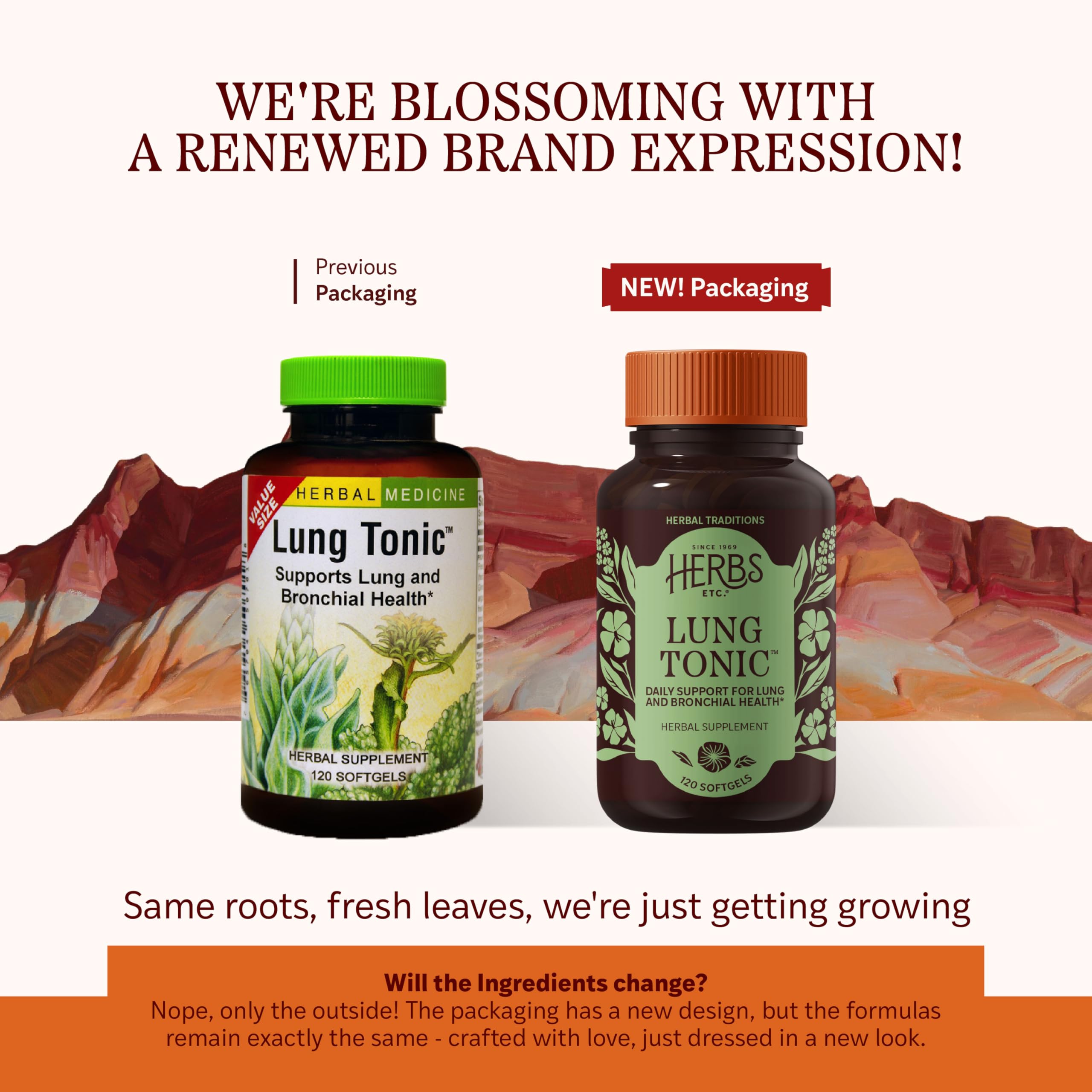 Herbs Etc. Lung Tonic - Lung Supplement for Bronchial Support - Healthy Breathing Support with Mullein, Horehound & Grindelia - 120 Softgels Herbs Etc. buy supplements canada