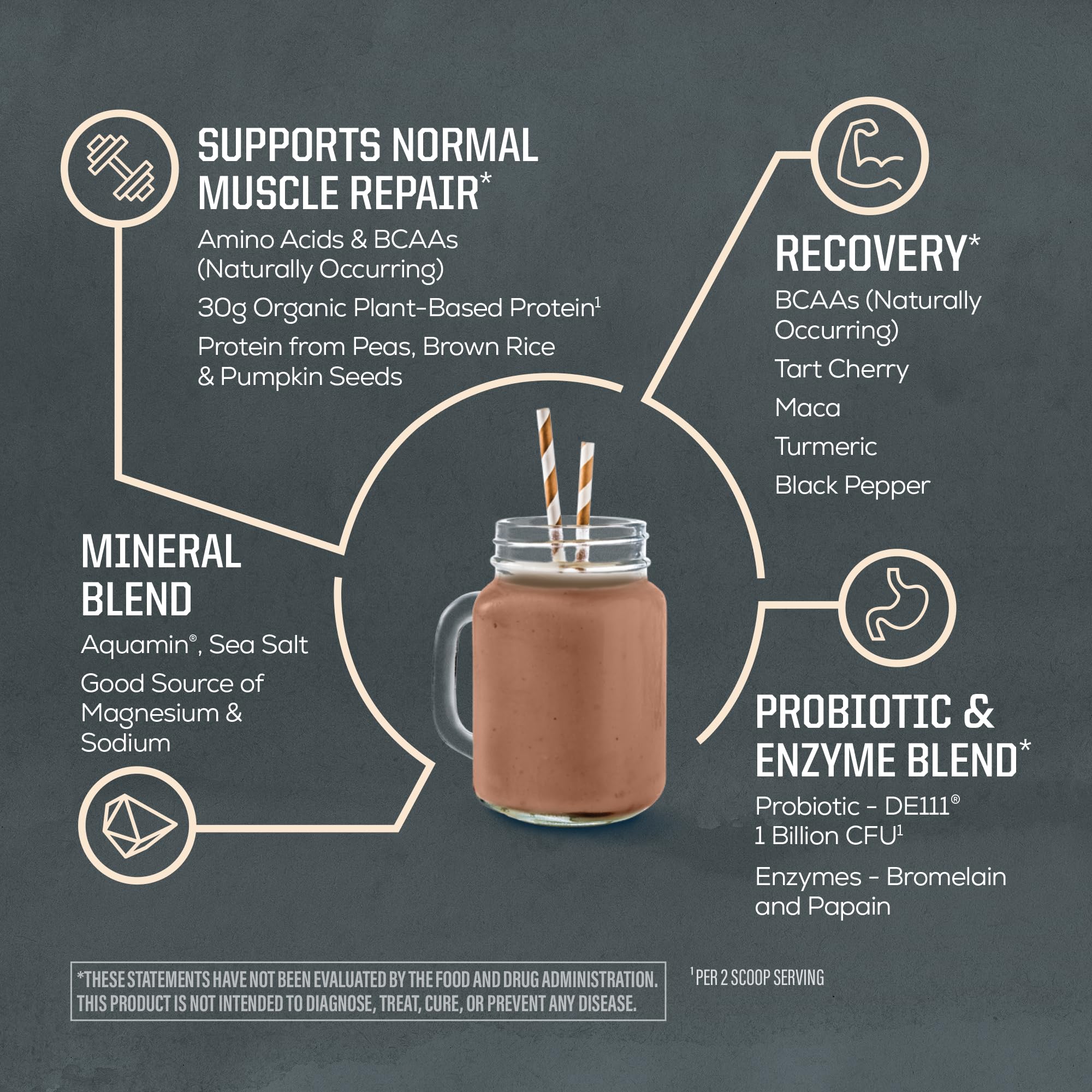 Sunwarrior Organic Plant Based Protein Powder | Vegan Organic Protein Powder with BCAA Amino Acids Plus Recovery Minerals & Botanicals | Non-GMO Soy Dairy & Gluten Free Sunwarrior buy supplements canada