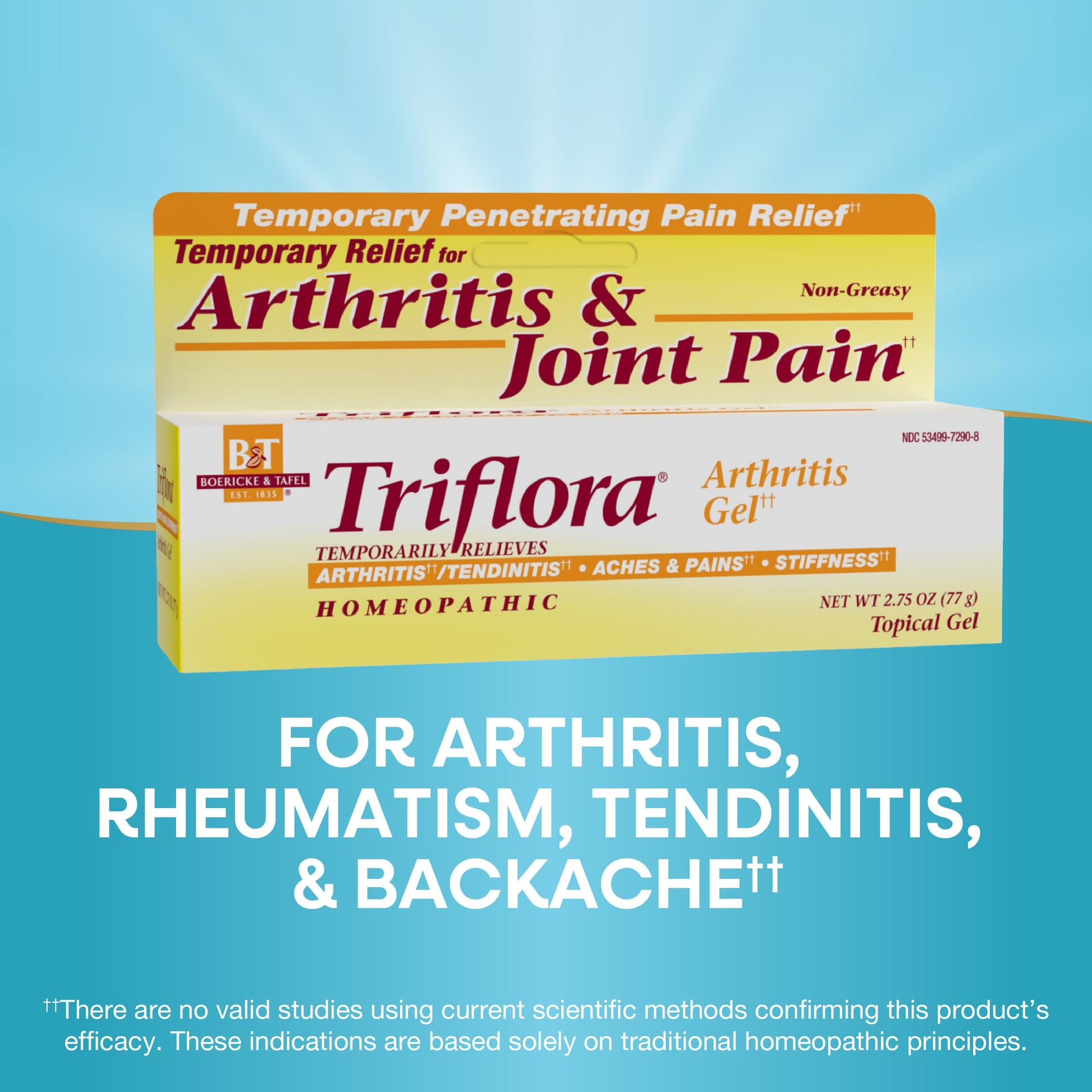 Boericke and Tafel Triflora Arthritis Gel, 2.75 Ounce Nature's Way buy supplements canada