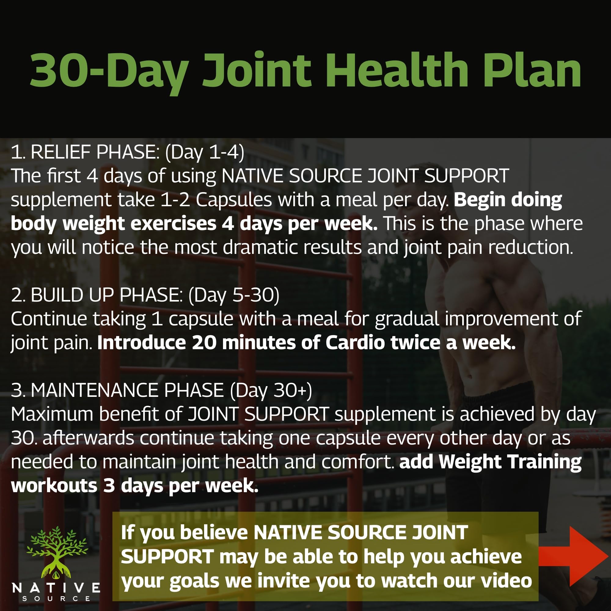 Native Source Joint Support Supplement - Turmeric - Tamarind - Boswellia - Fenugreek Native Source buy supplements canada