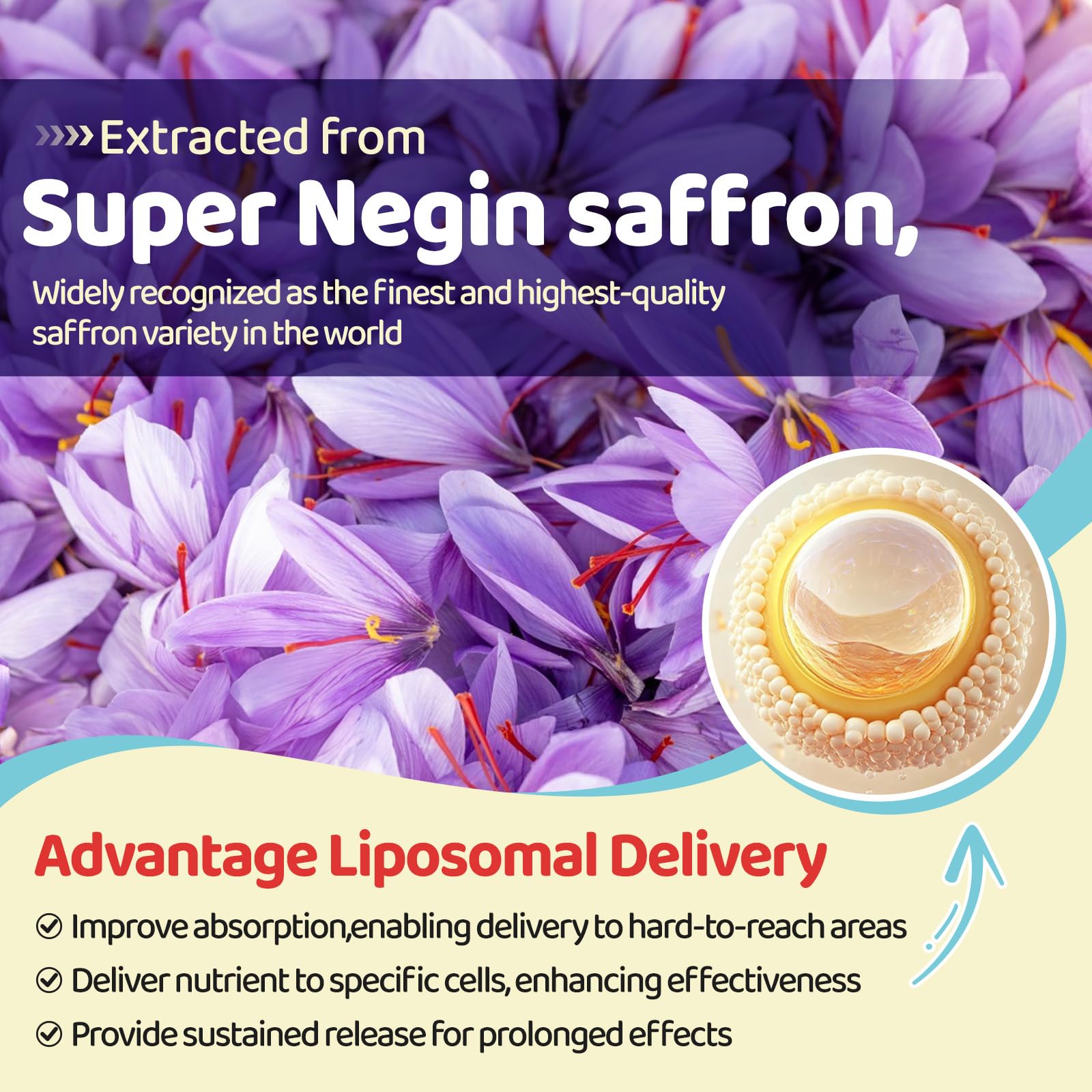 Liposomal Saffron Gummies for Kids 4+, Saffron Supplements w/Holy Basil, Rosemary, Magnesium Glycinate, Omega-3 & More, Brain Focus Support Supplement, Vegan, Organic, Sugar Free, 60 Chewables duwhot buy supplements canada