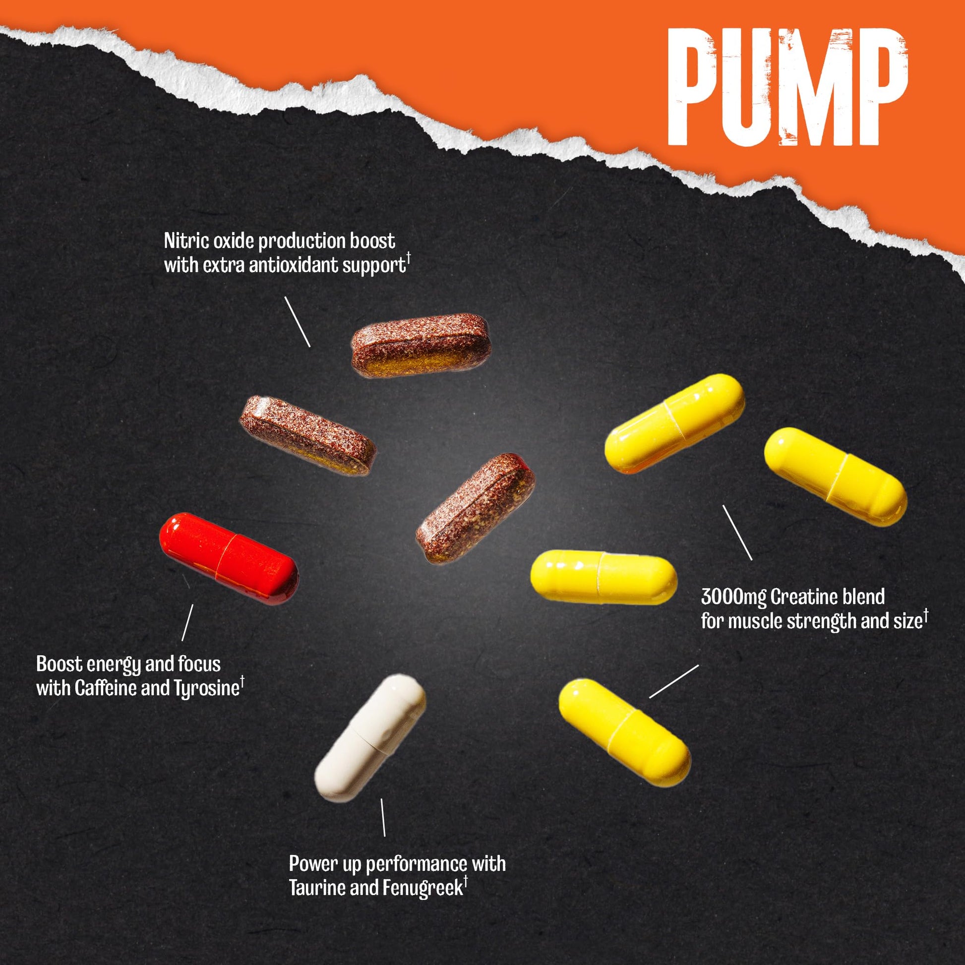 Animal Pump Pre-Workout Supplement – for Energy, Focus and Muscle Volumizing, with Nitric Oxide Boosters Including Stims and Nootropics, Creatine, Animal buy supplements canada